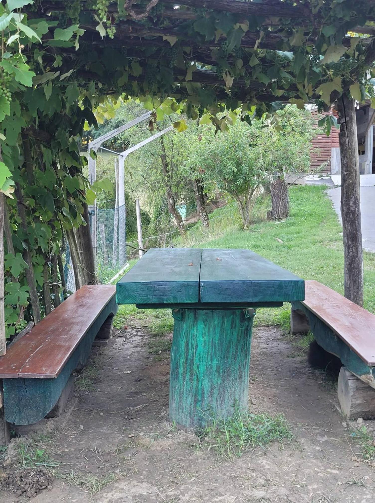 Photo 19