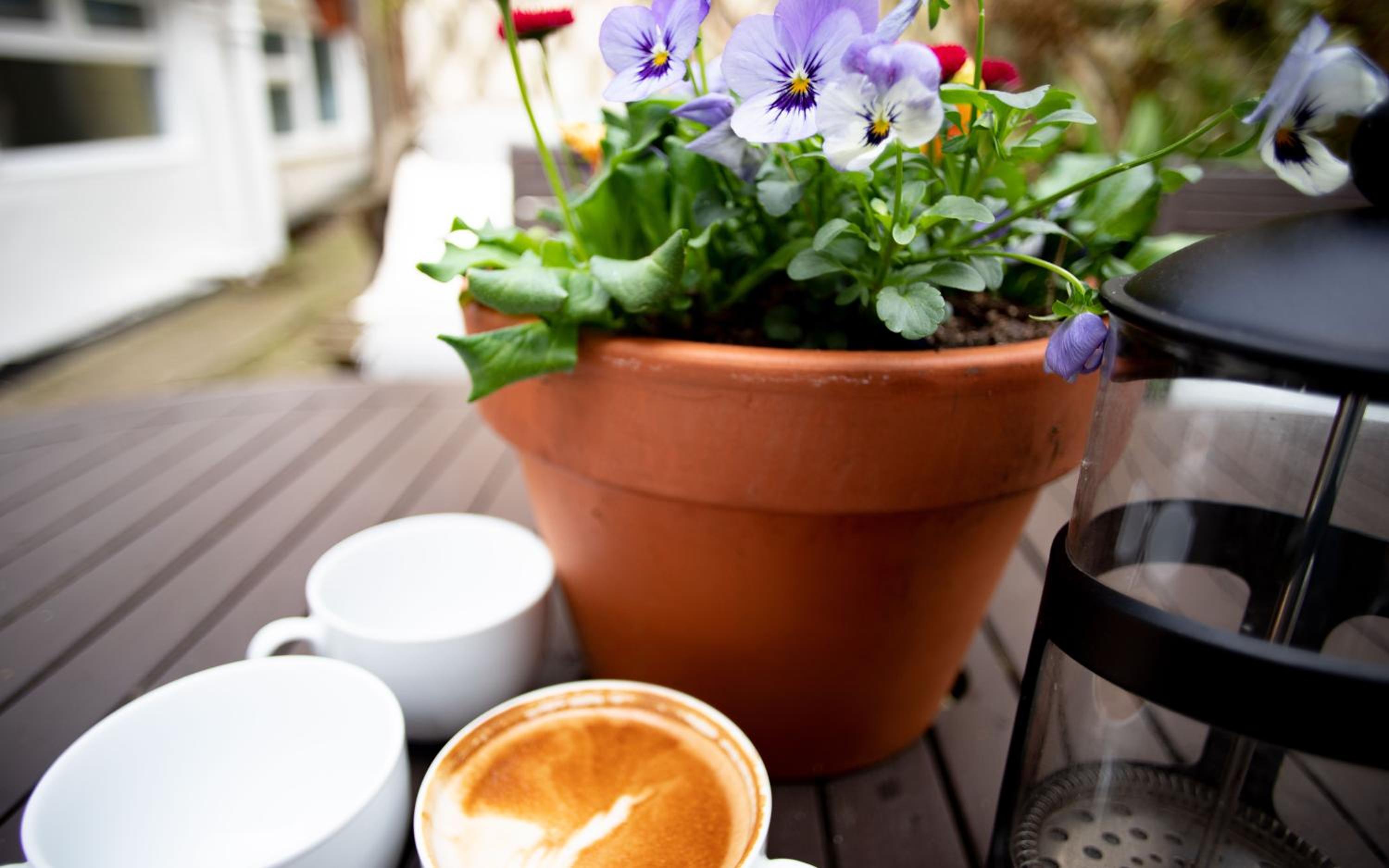 Brakestone Cottage in the heart of Port Isaac