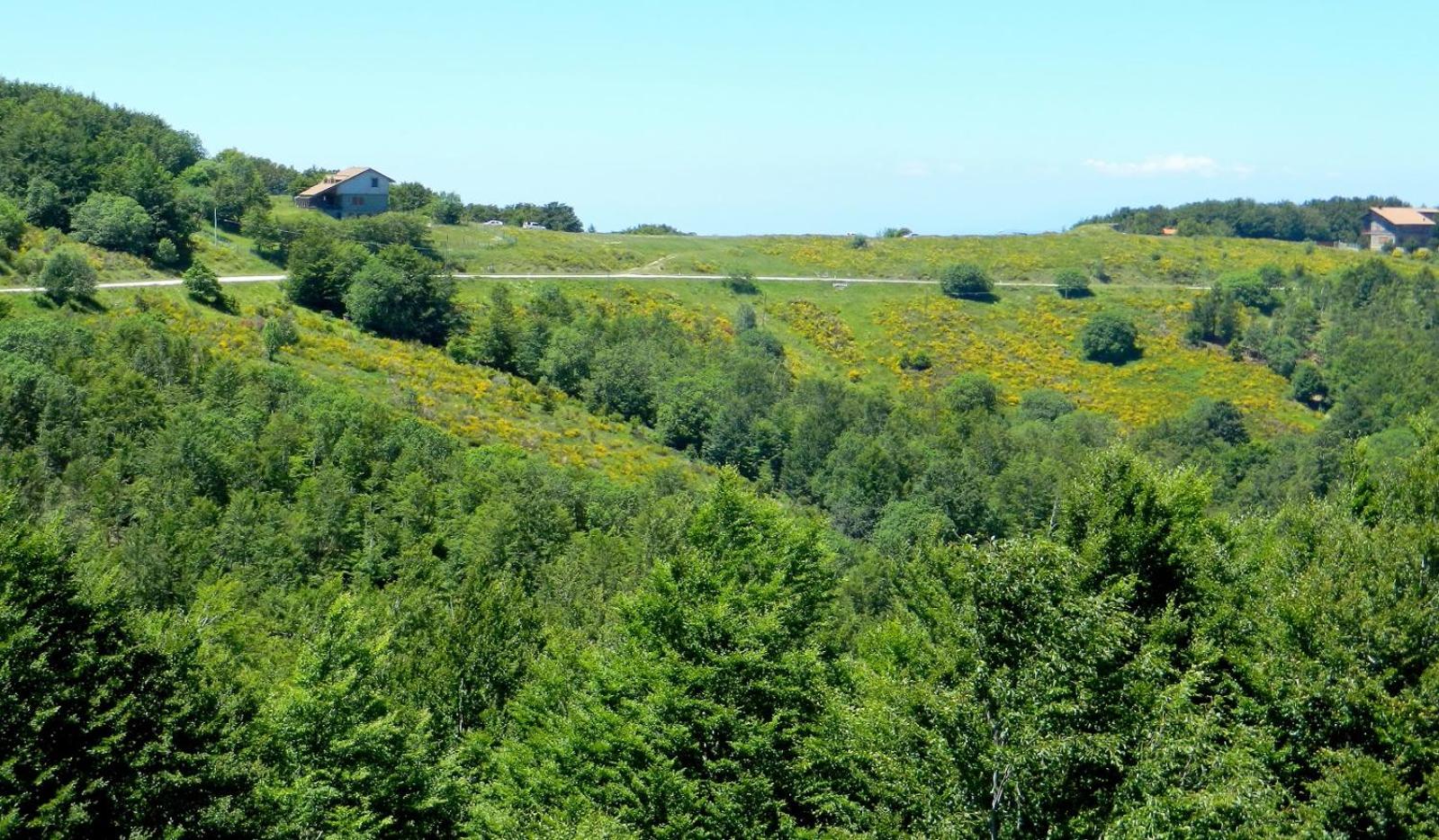 Chalet Gineprino