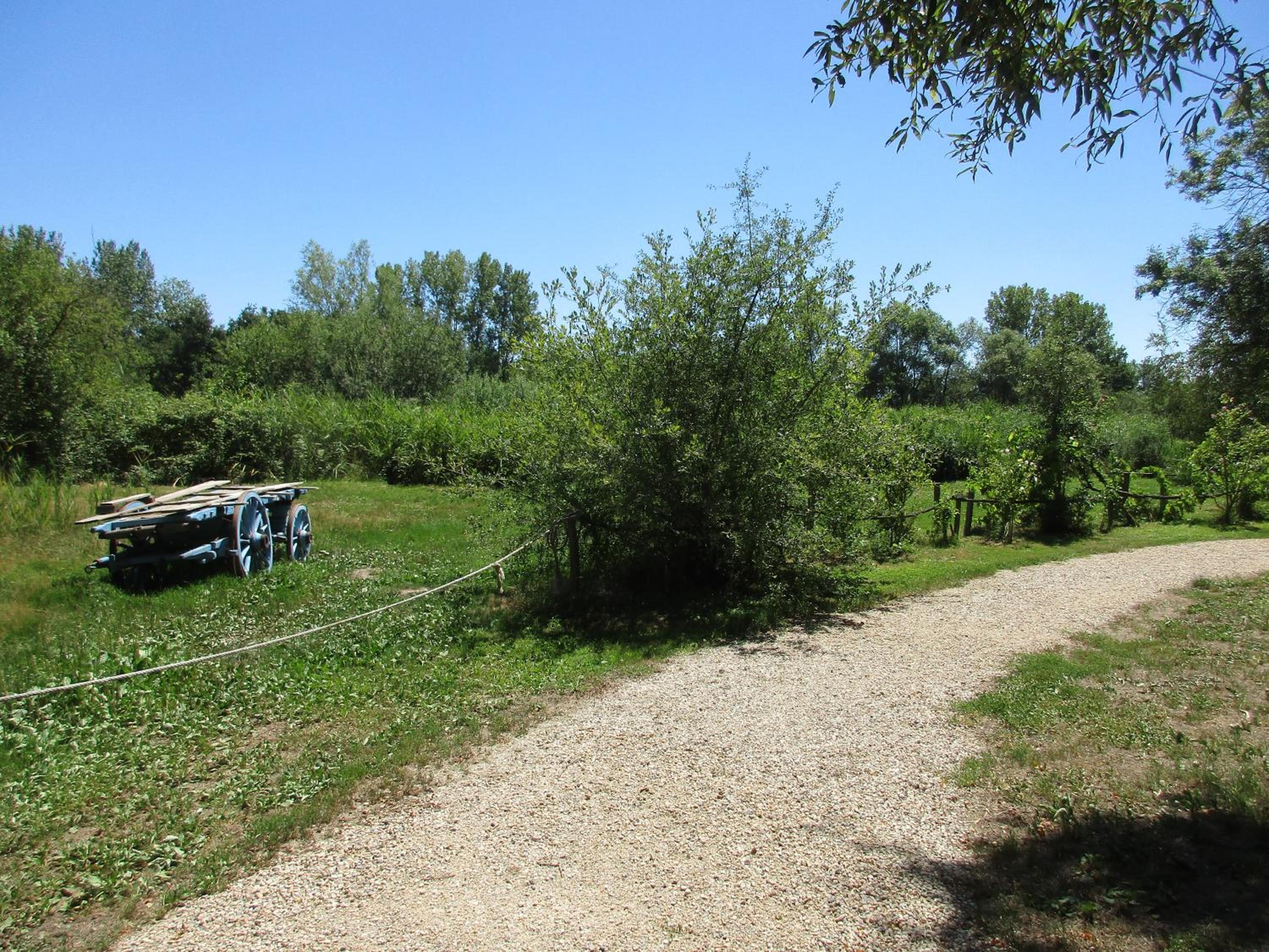 Photo 28