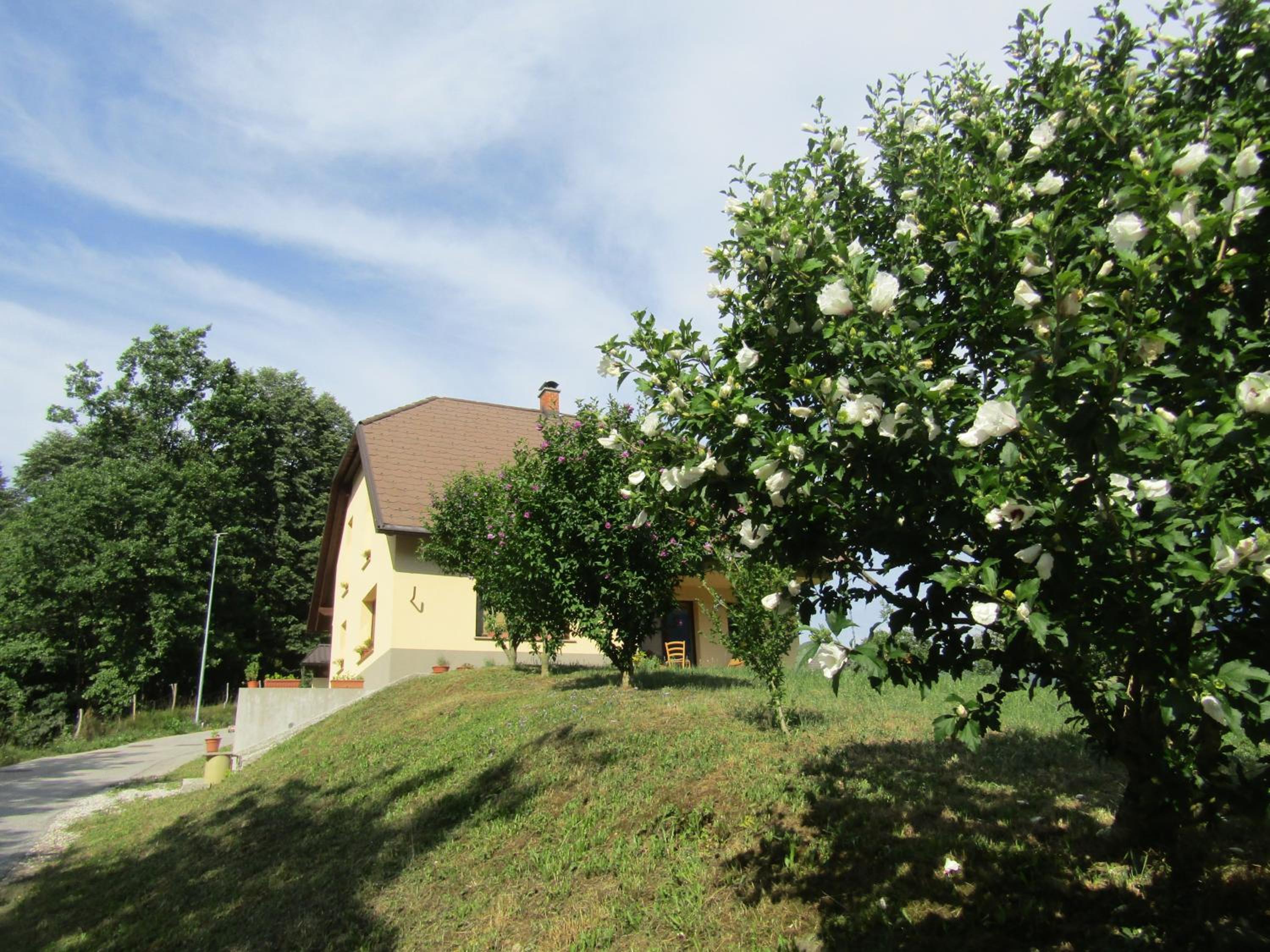 Photo 29