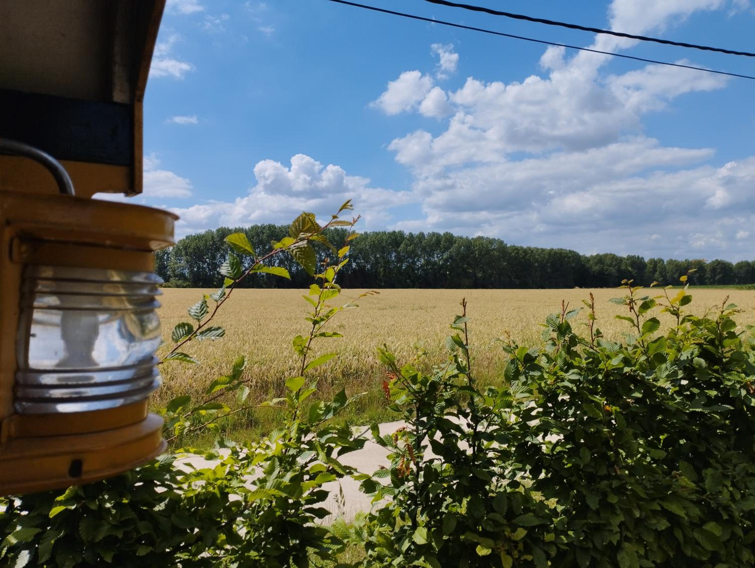 DE SMISHOEVE met kinderpret, dieren en wellness