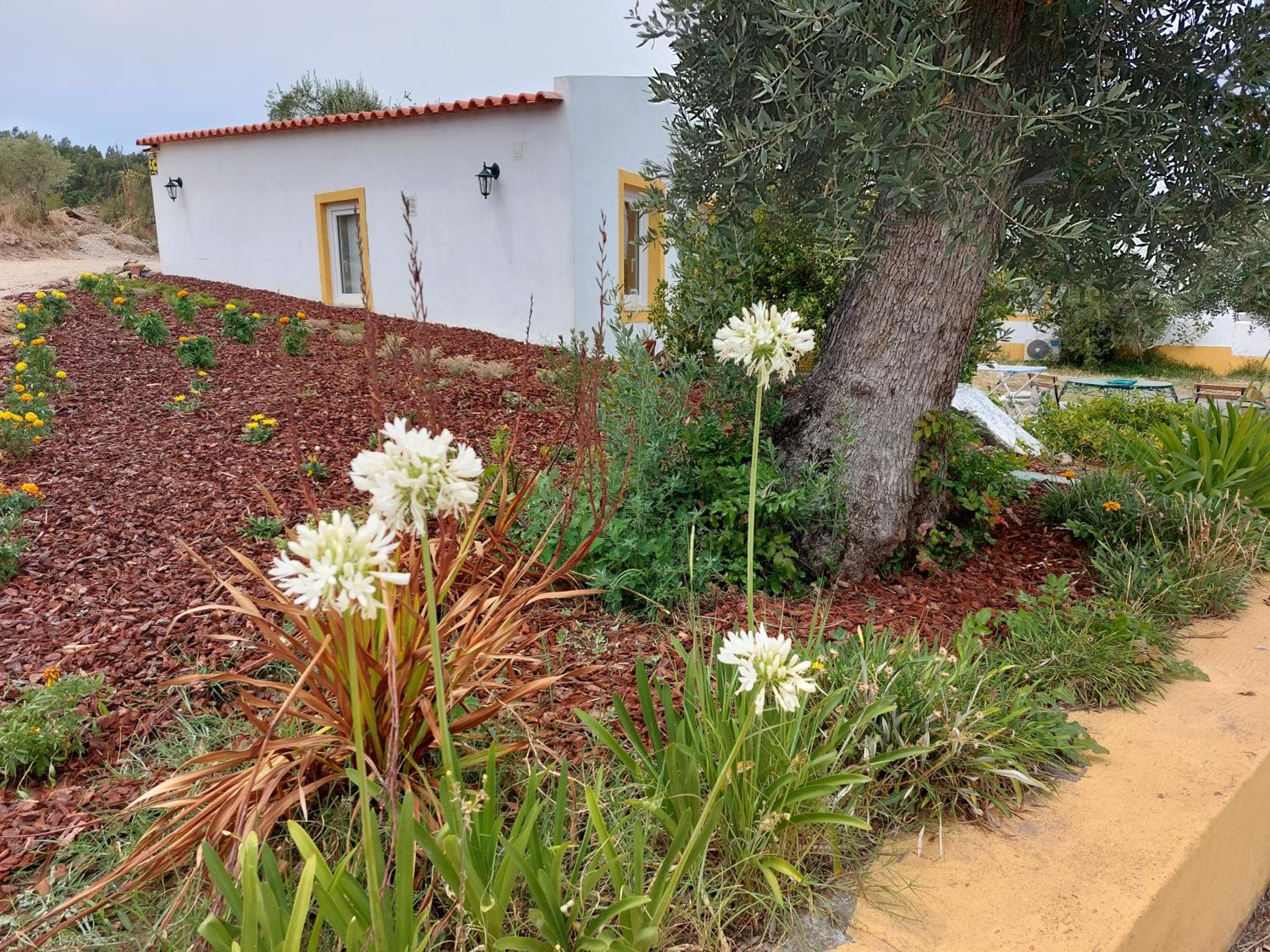 Photo 28