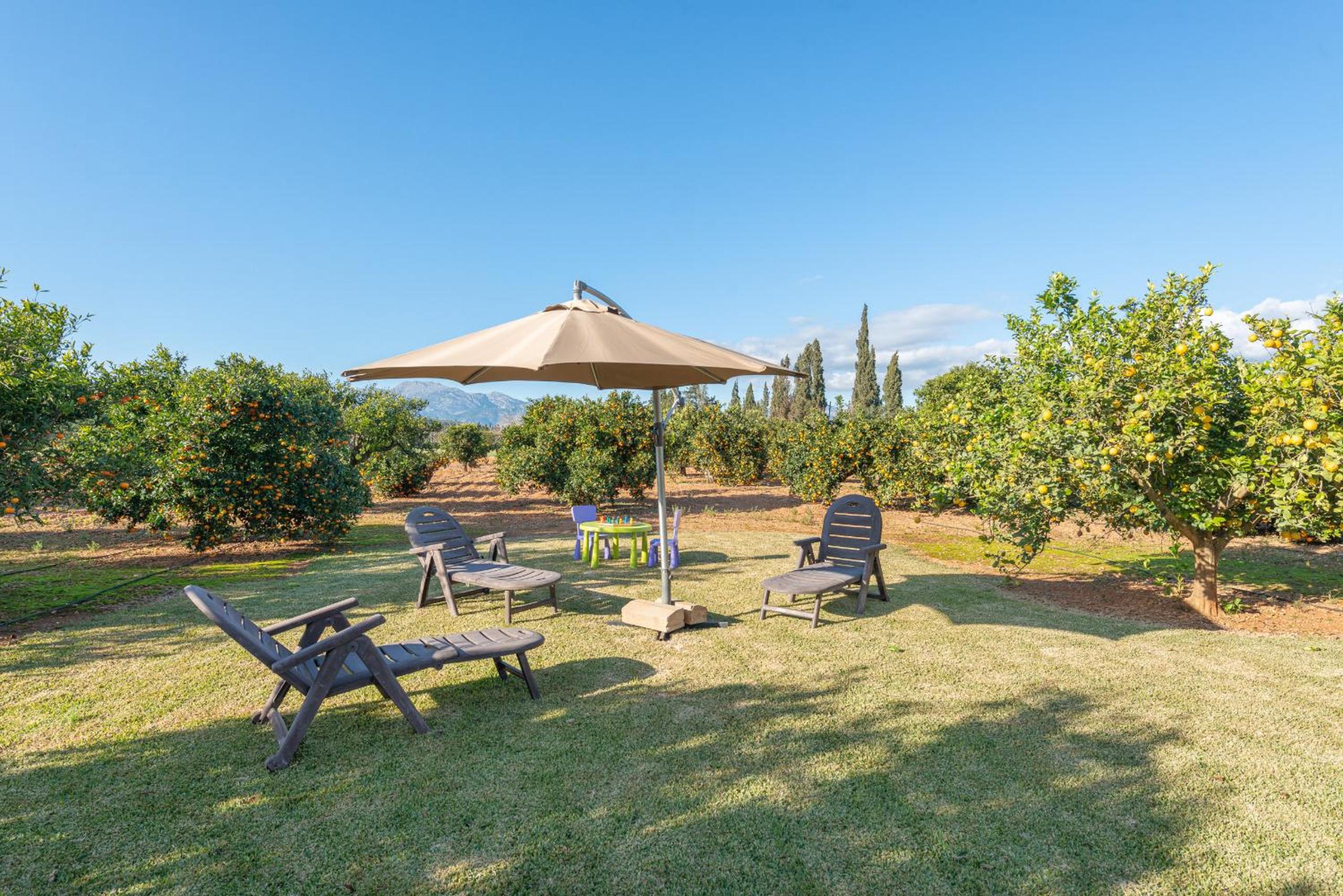Can Rafelino, pool and relax view 5