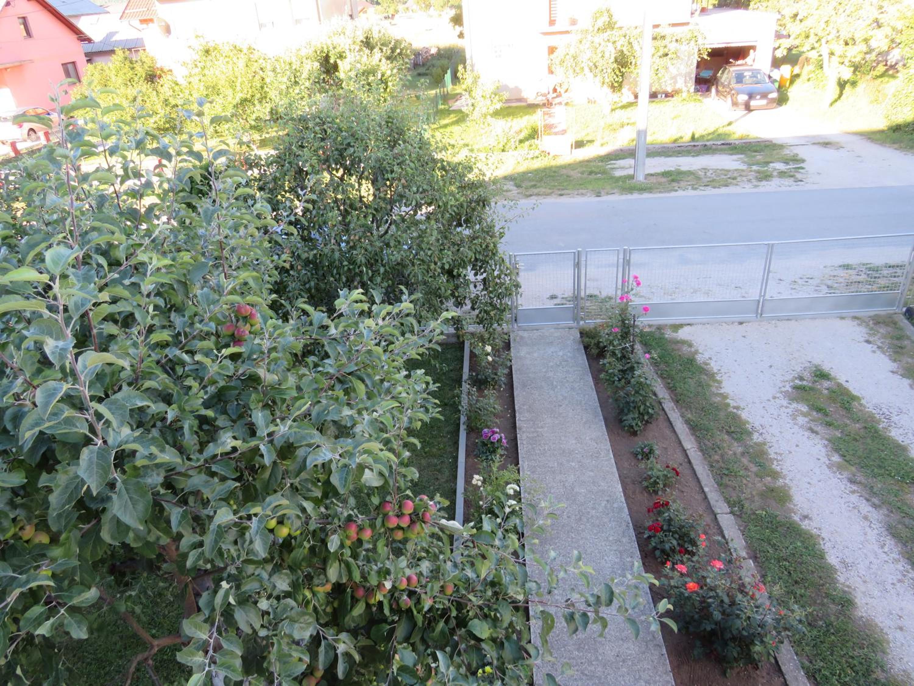 Photo 10