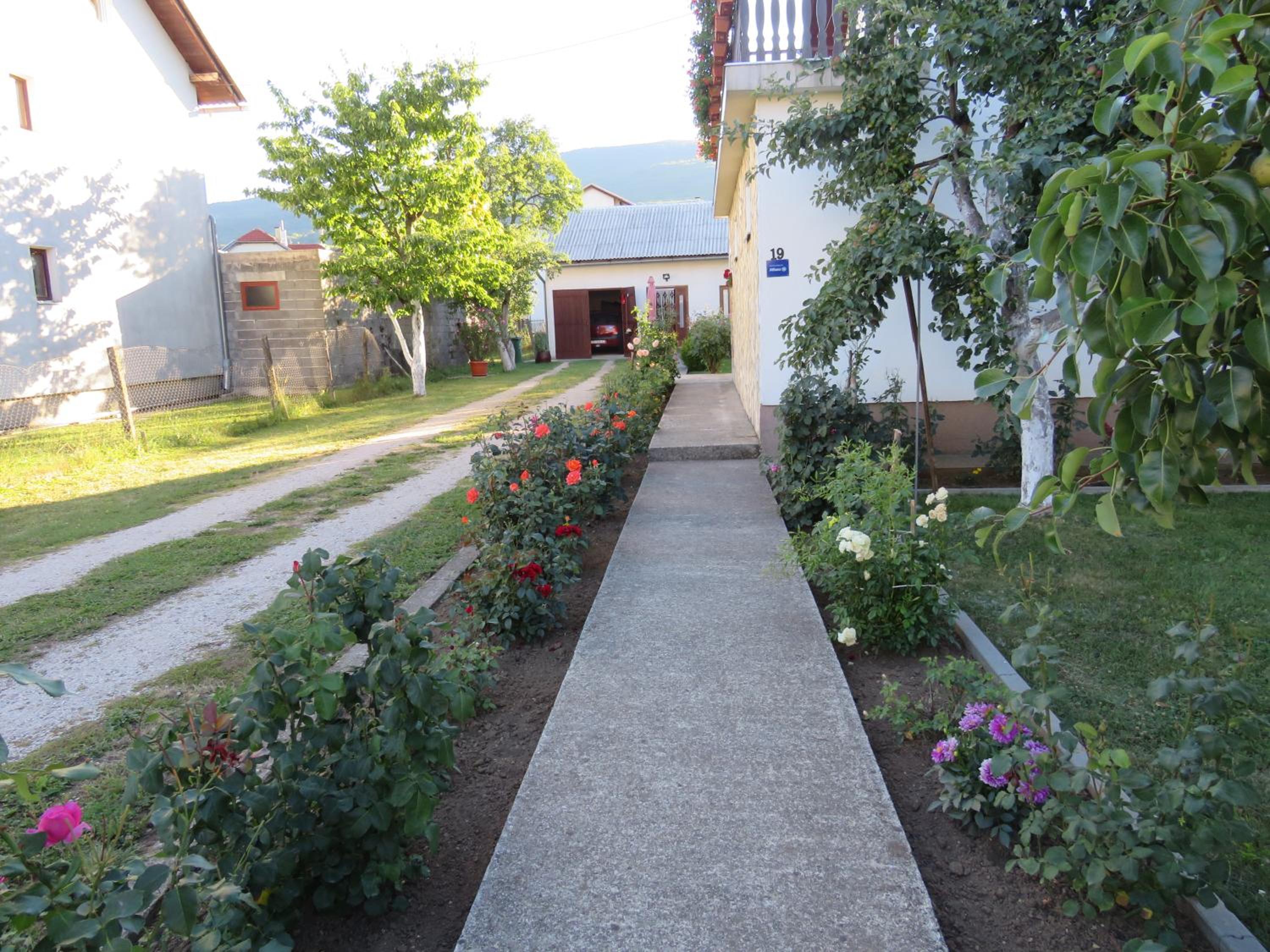 Photo 6