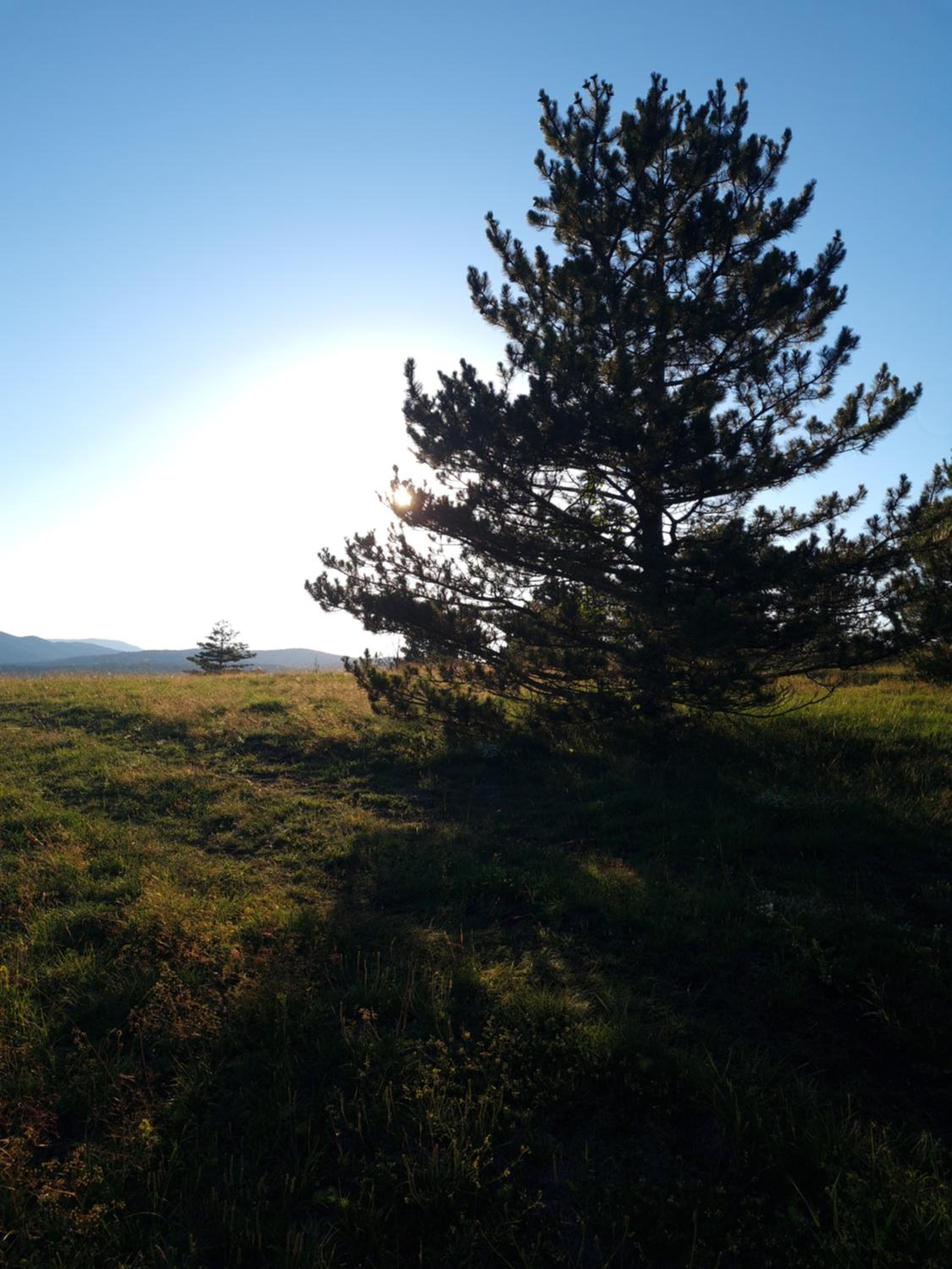 Photo 39