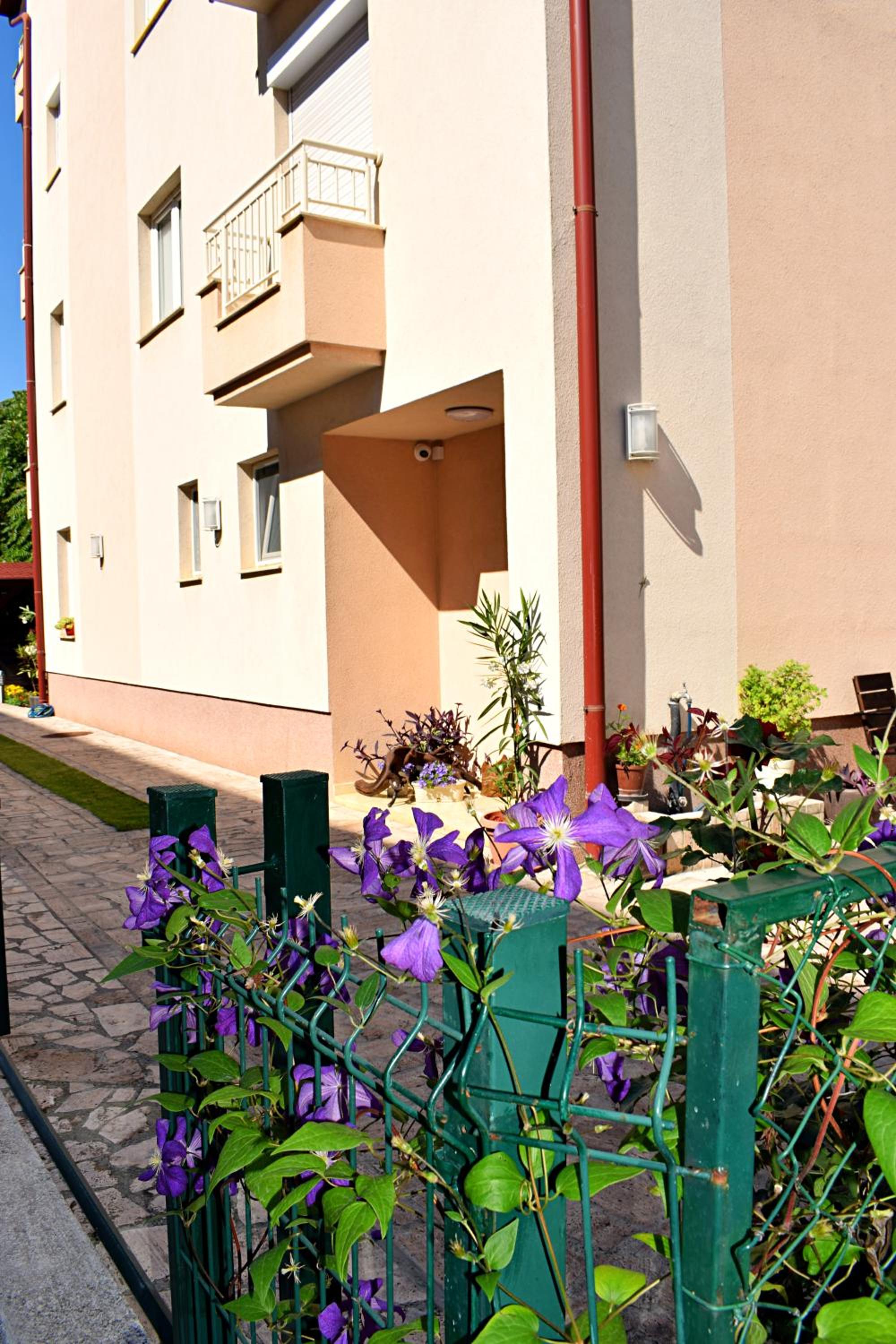 Iris Guesthouse view 5