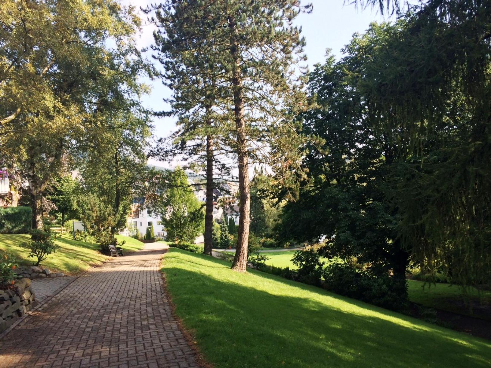 Kurpark Maisonnette Willingen view 4