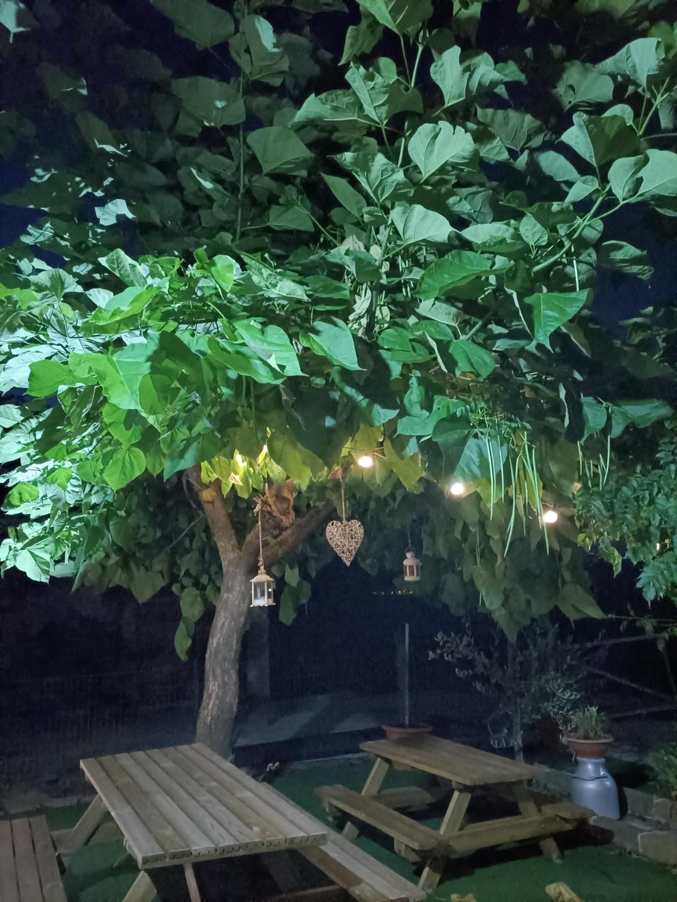 Agriturismo Macchia dei briganti - b&b, Foto 31