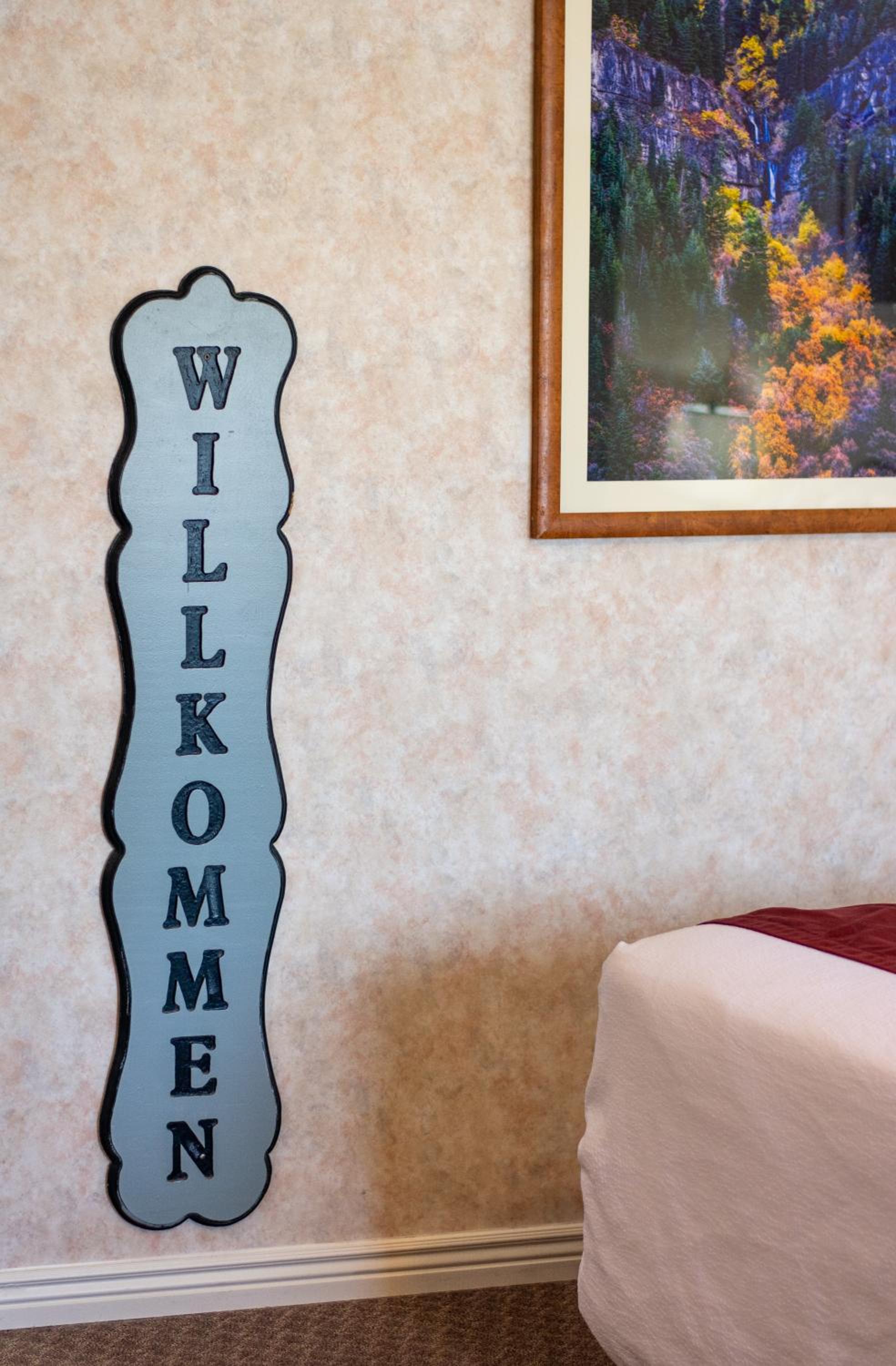 Swiss Alps Inn