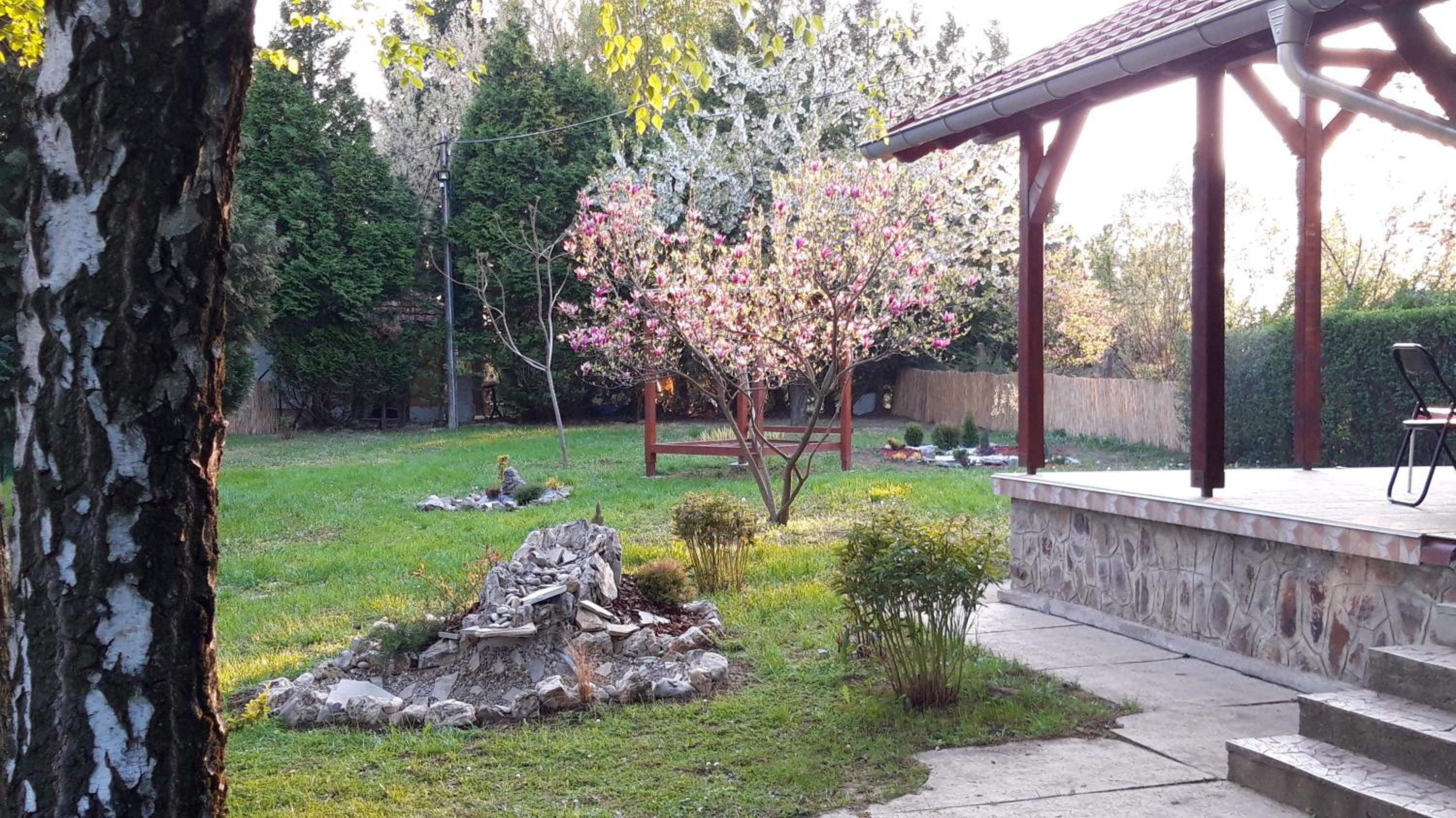 Photo 22