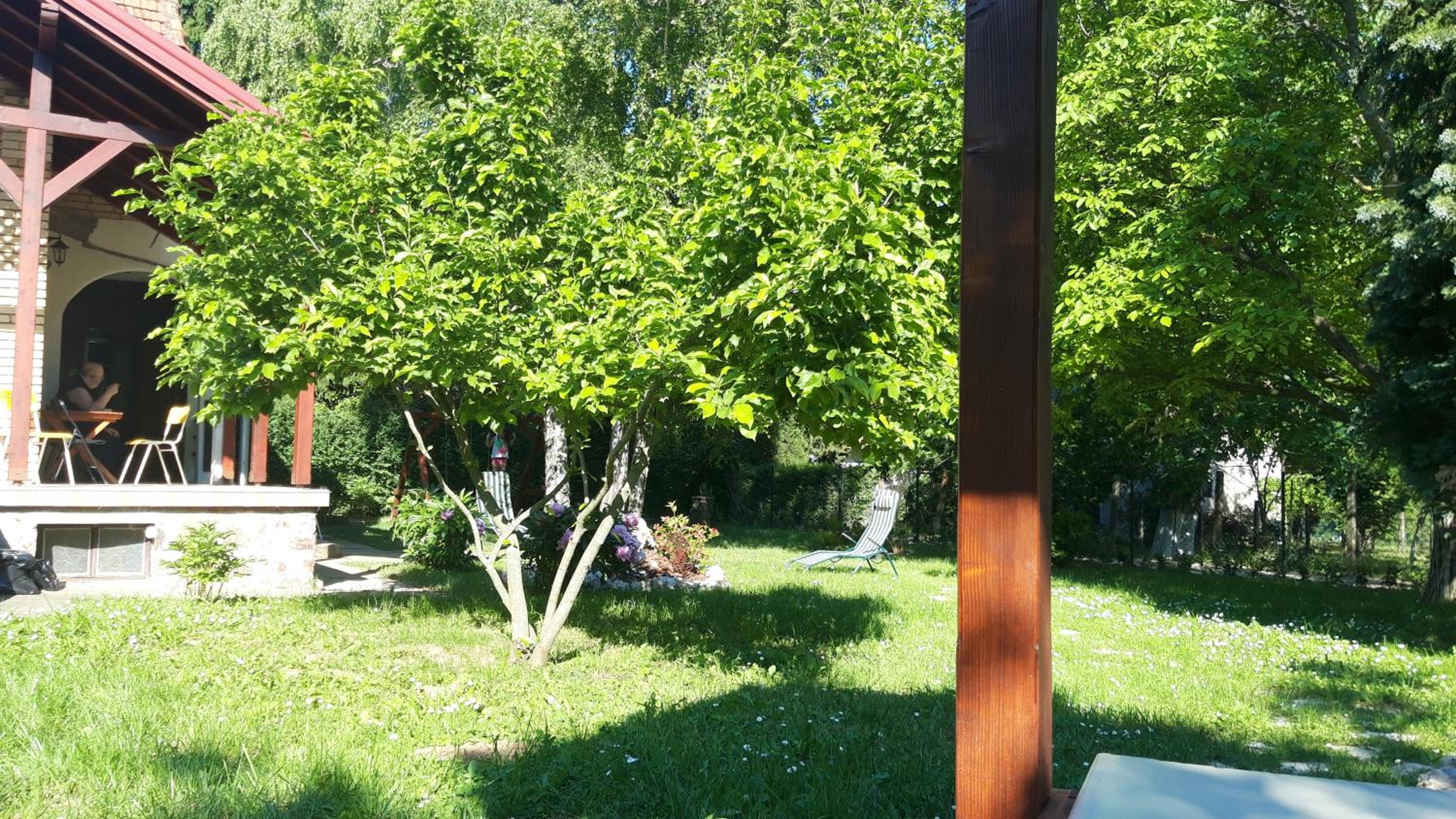 Photo 30