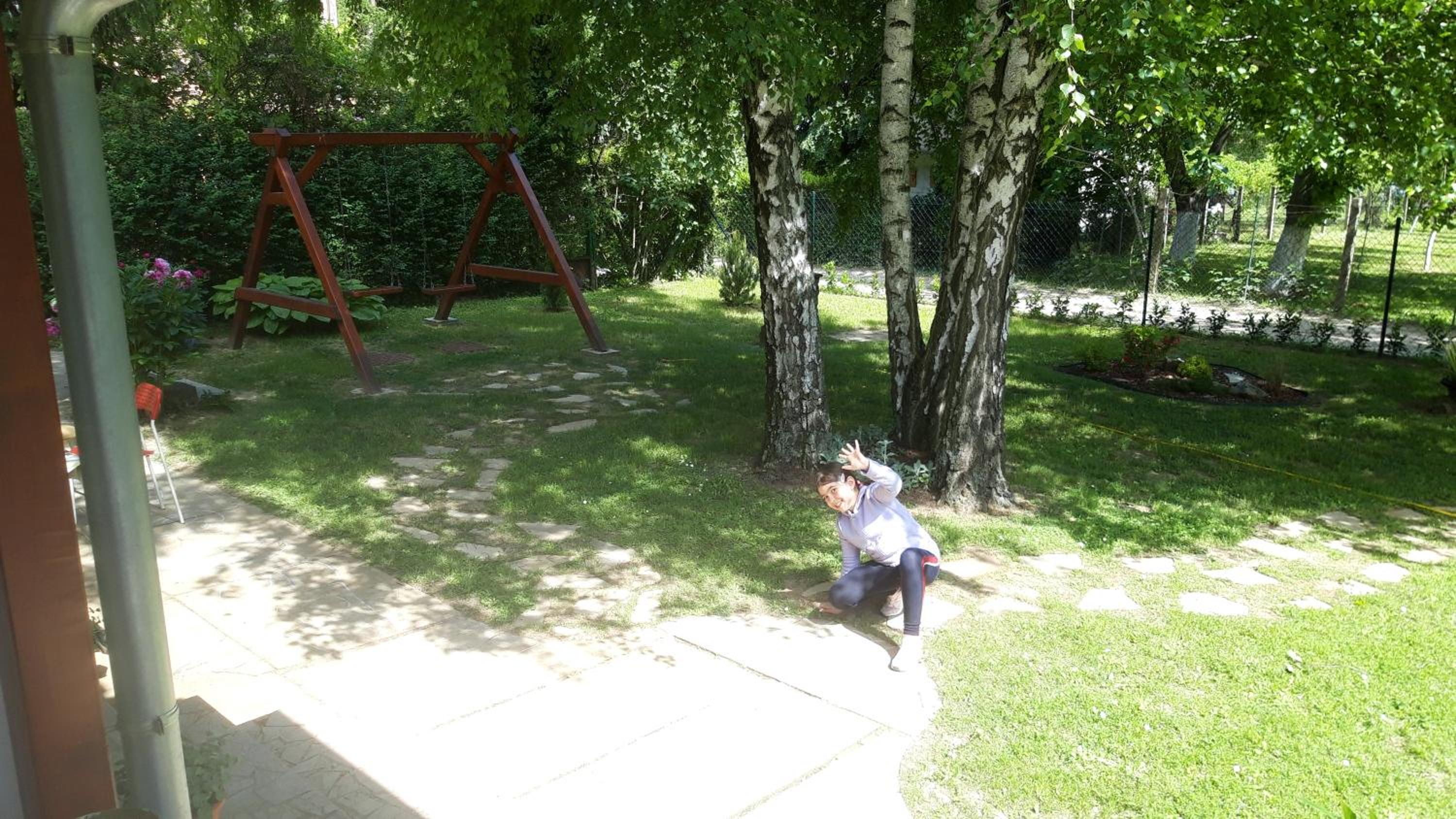 Photo 37
