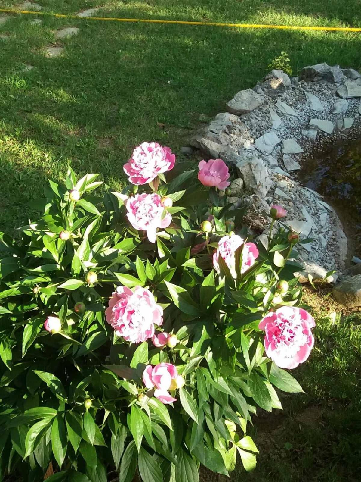 Photo 47