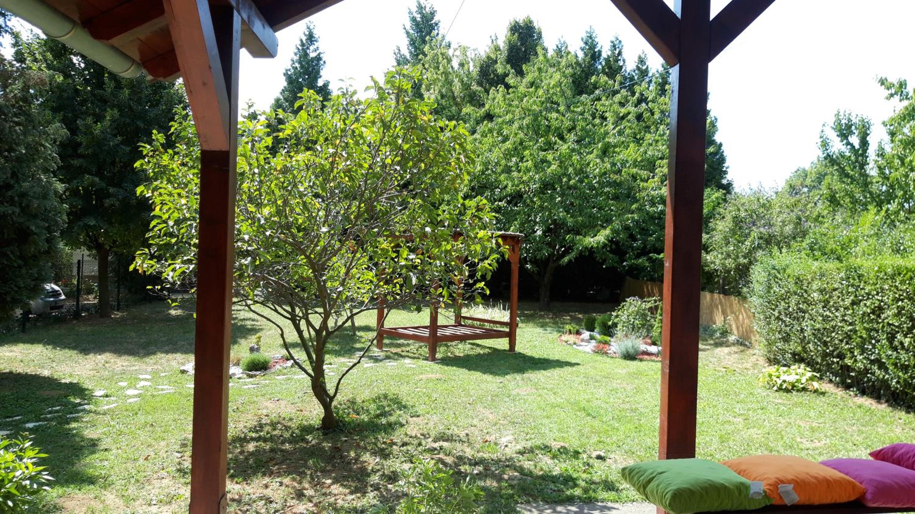 Photo 42