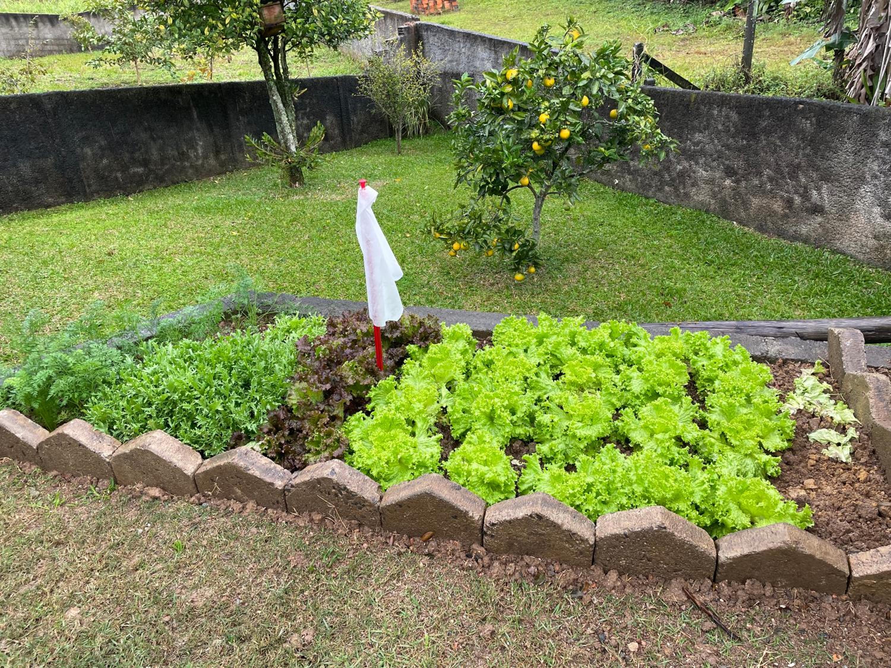 Espaço no Centro