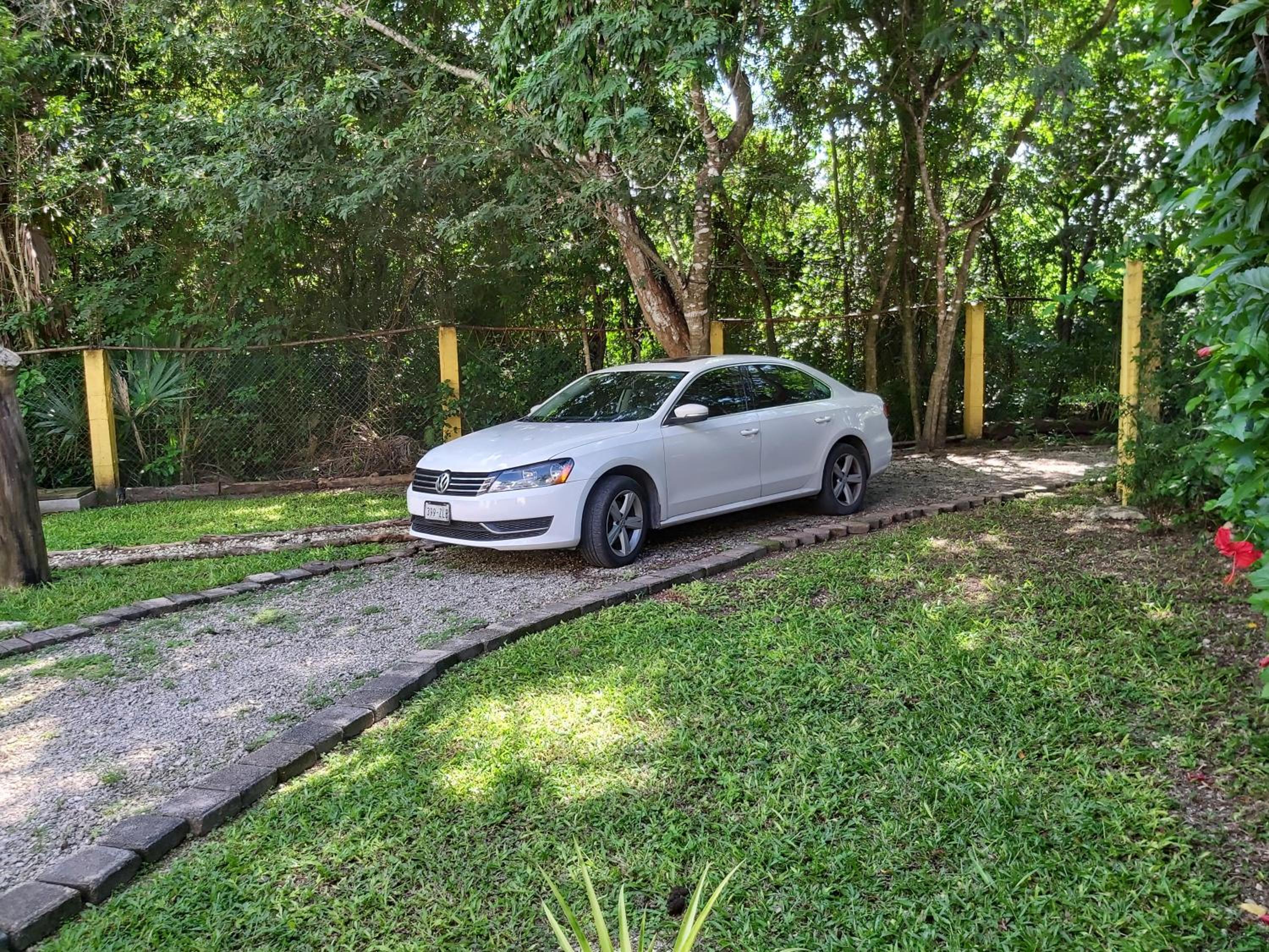 NEW! CASA XOLA Cenote and Fauna Loft