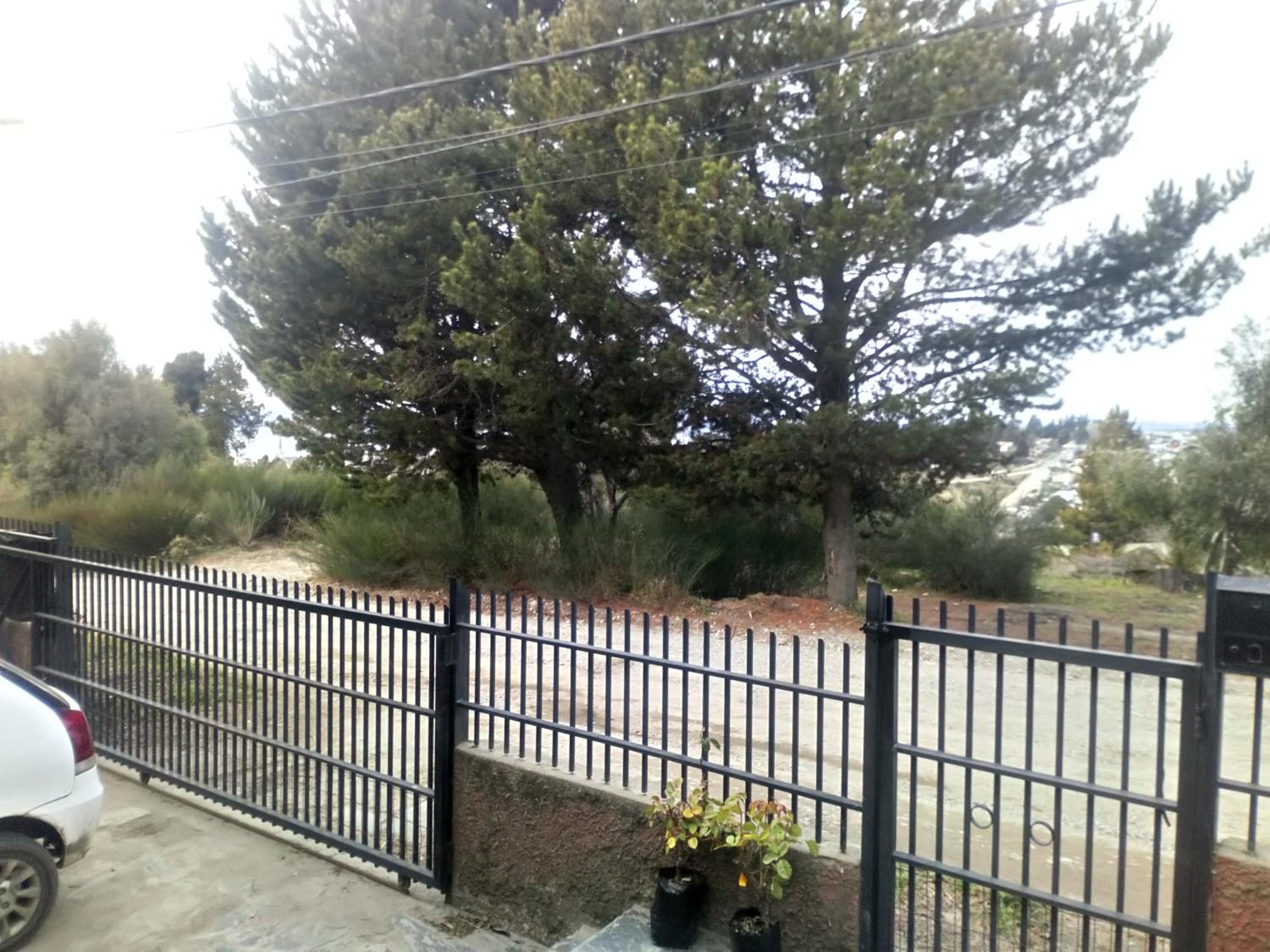 Casa Quintral