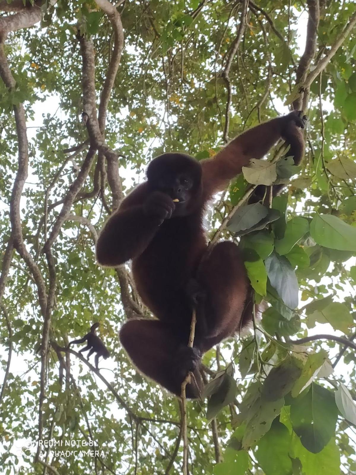 Jacamar Lodge Expeditions