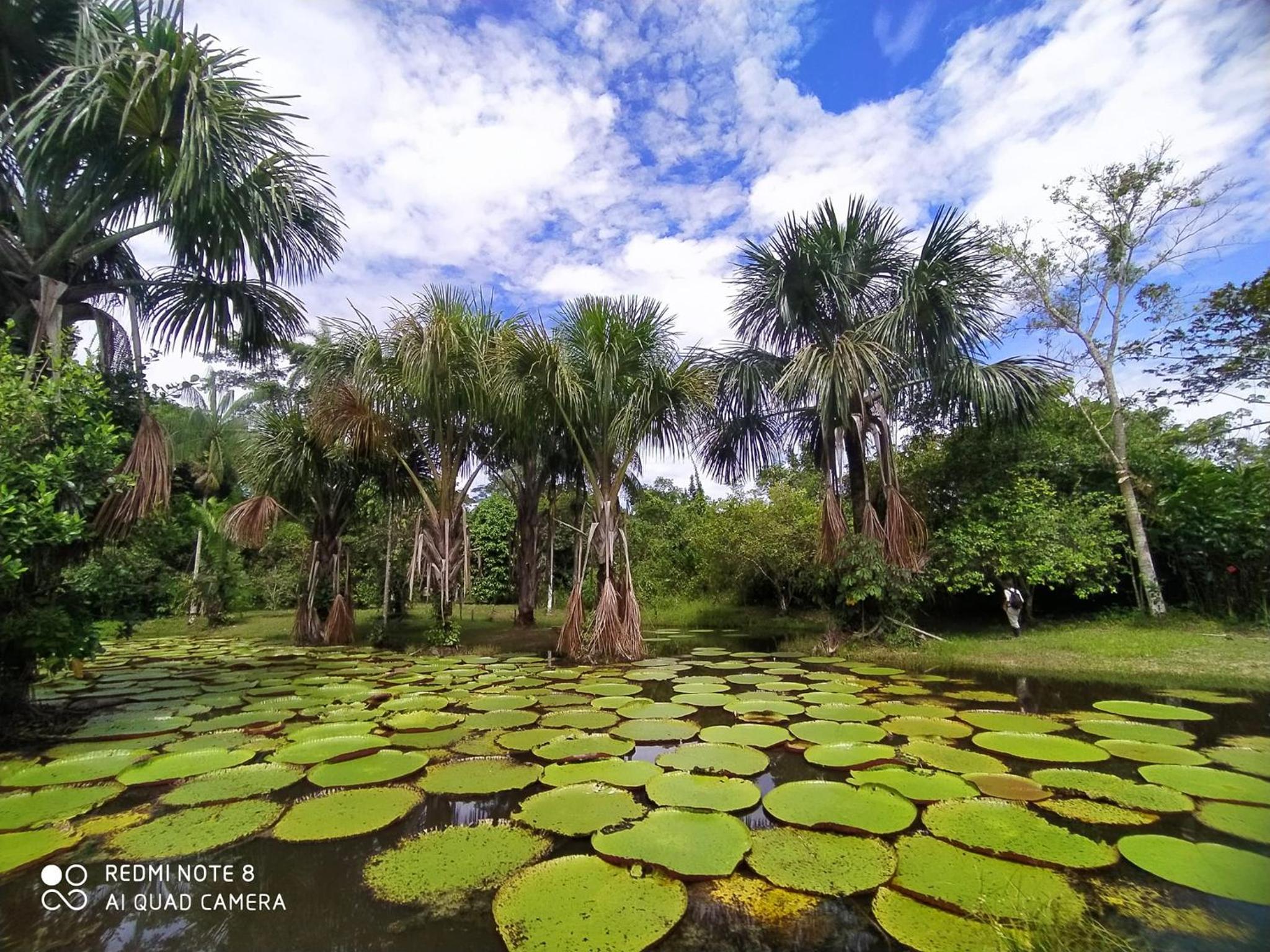 Jacamar Lodge Expeditions