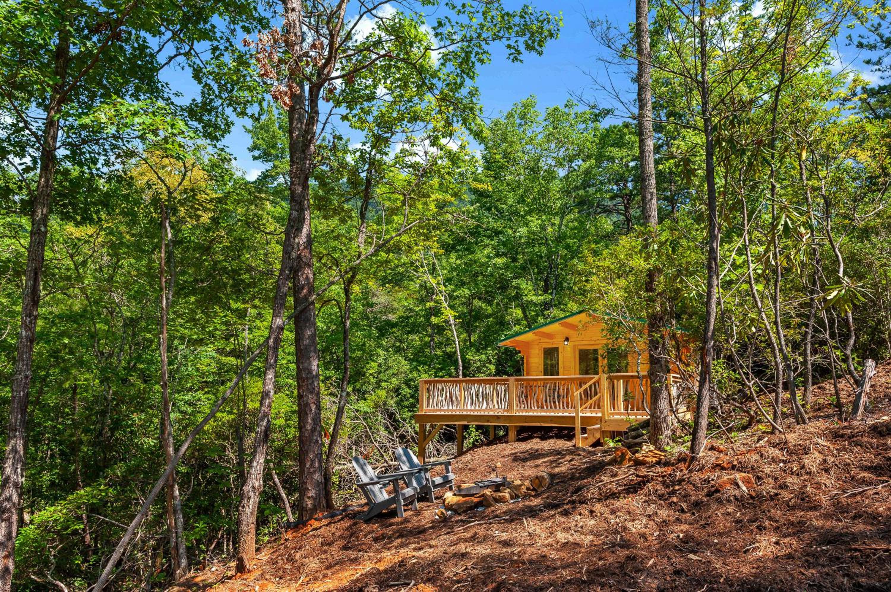 Laurel Ridge Cabin...experience nature in 90 acres! view 4