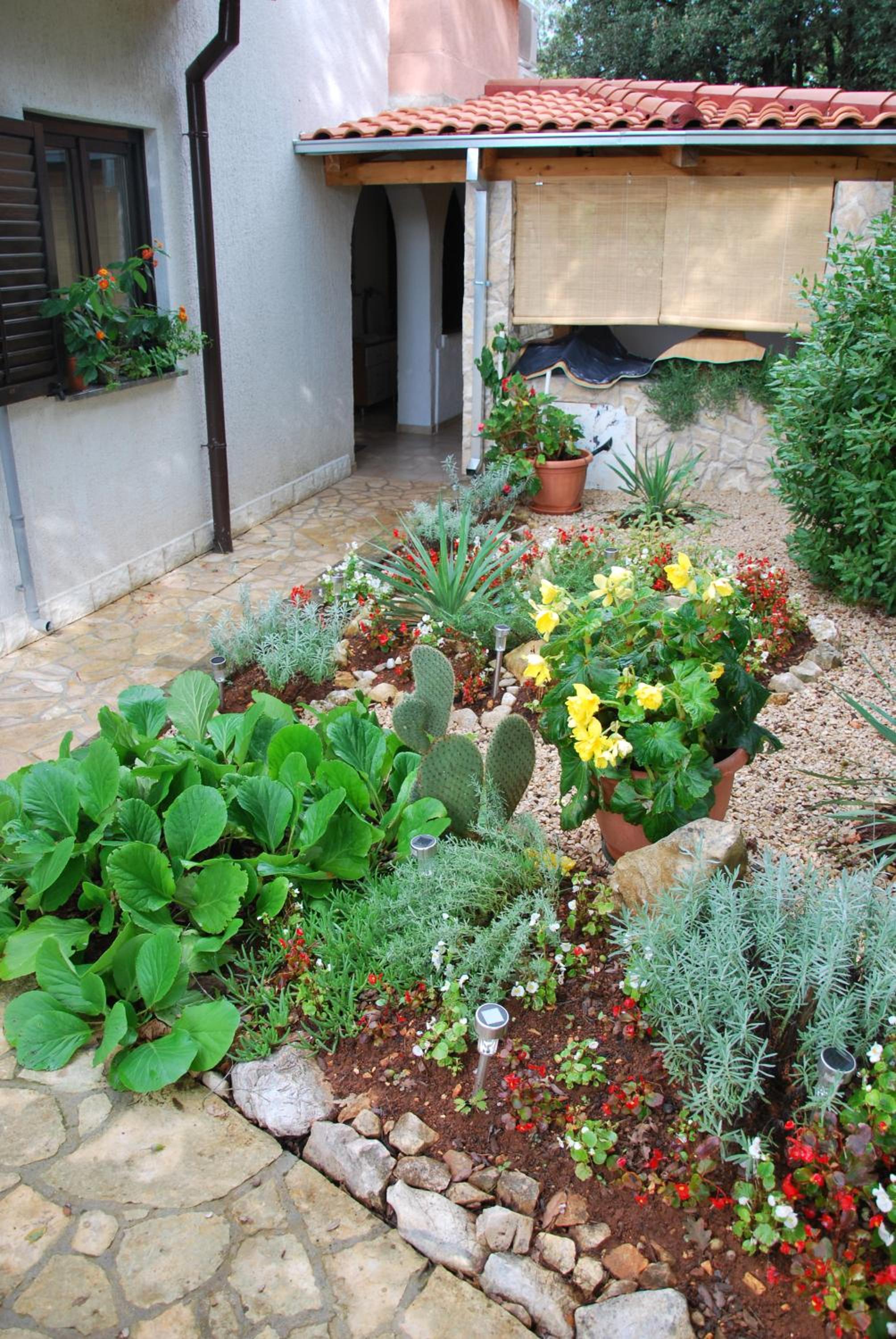 Photo 36