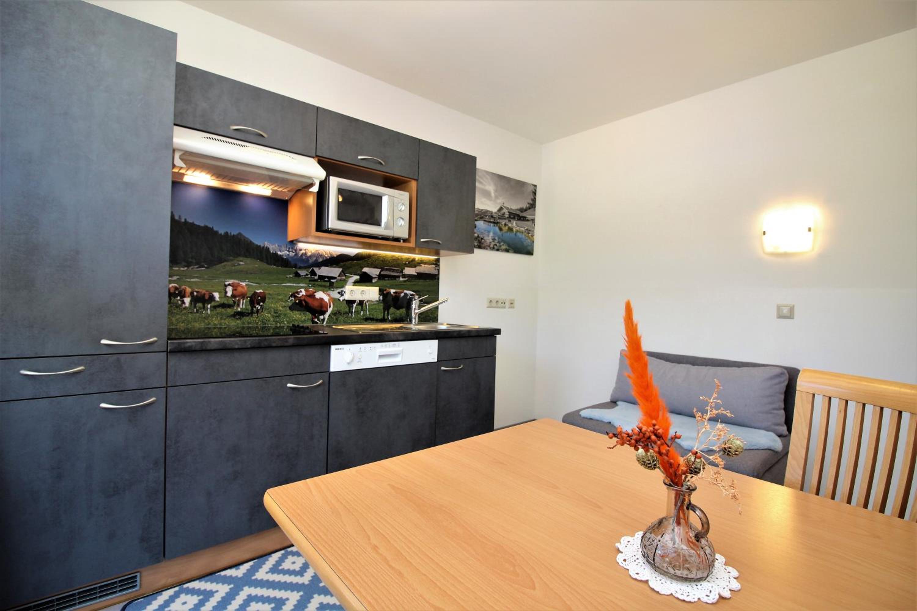 Apartments Luidold view 4