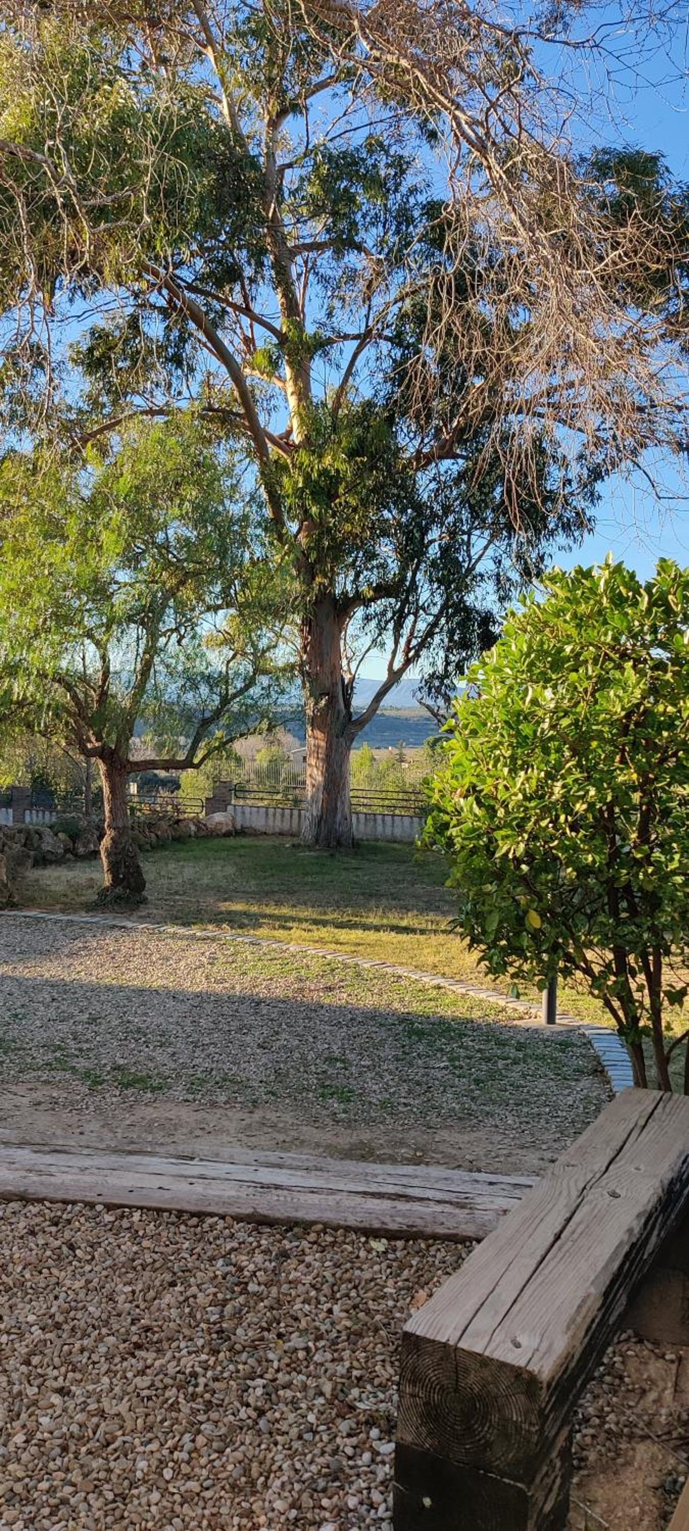 Casa Rural Eucaliptus view 3