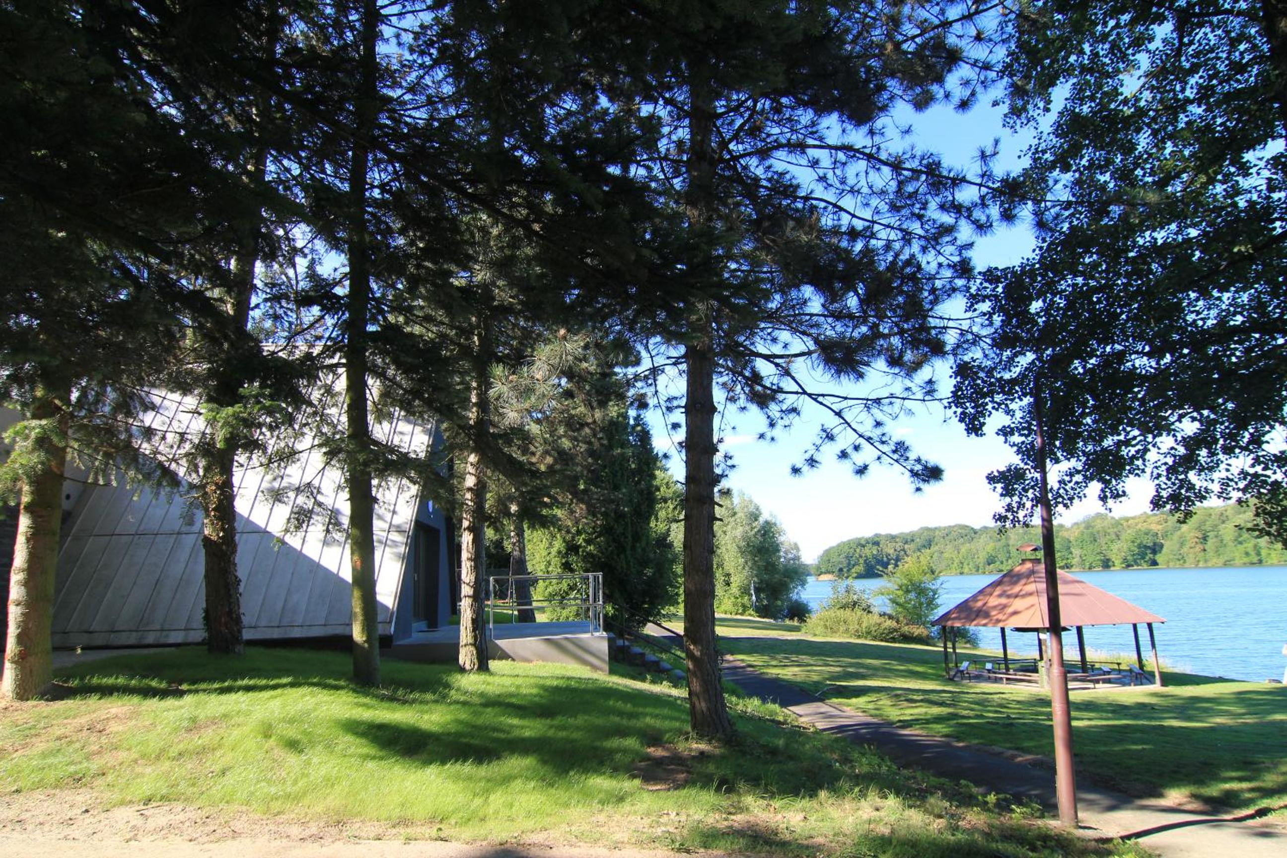 Photo 11