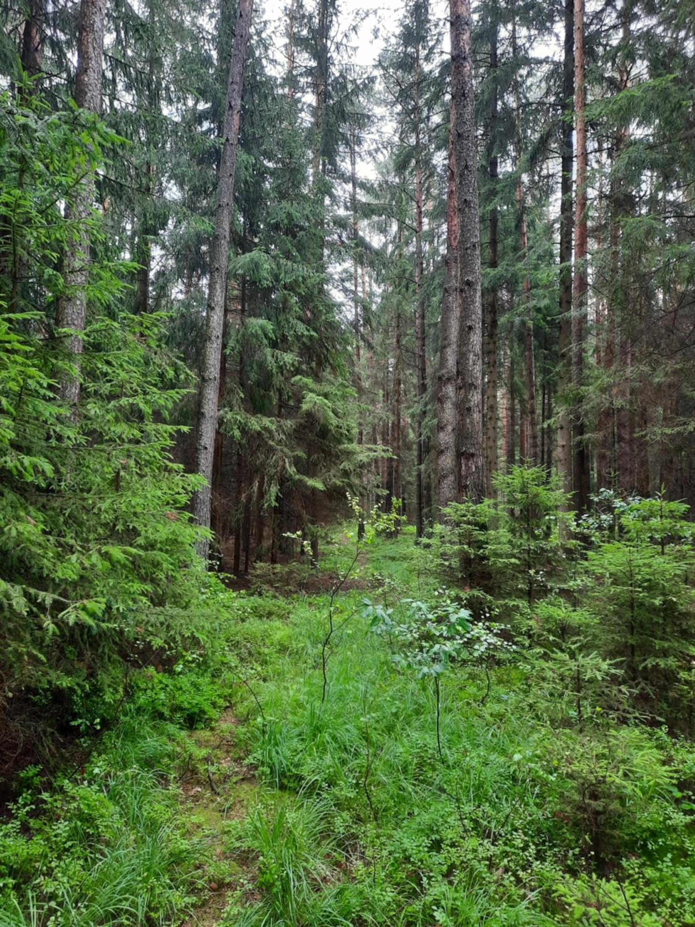 Photo 45
