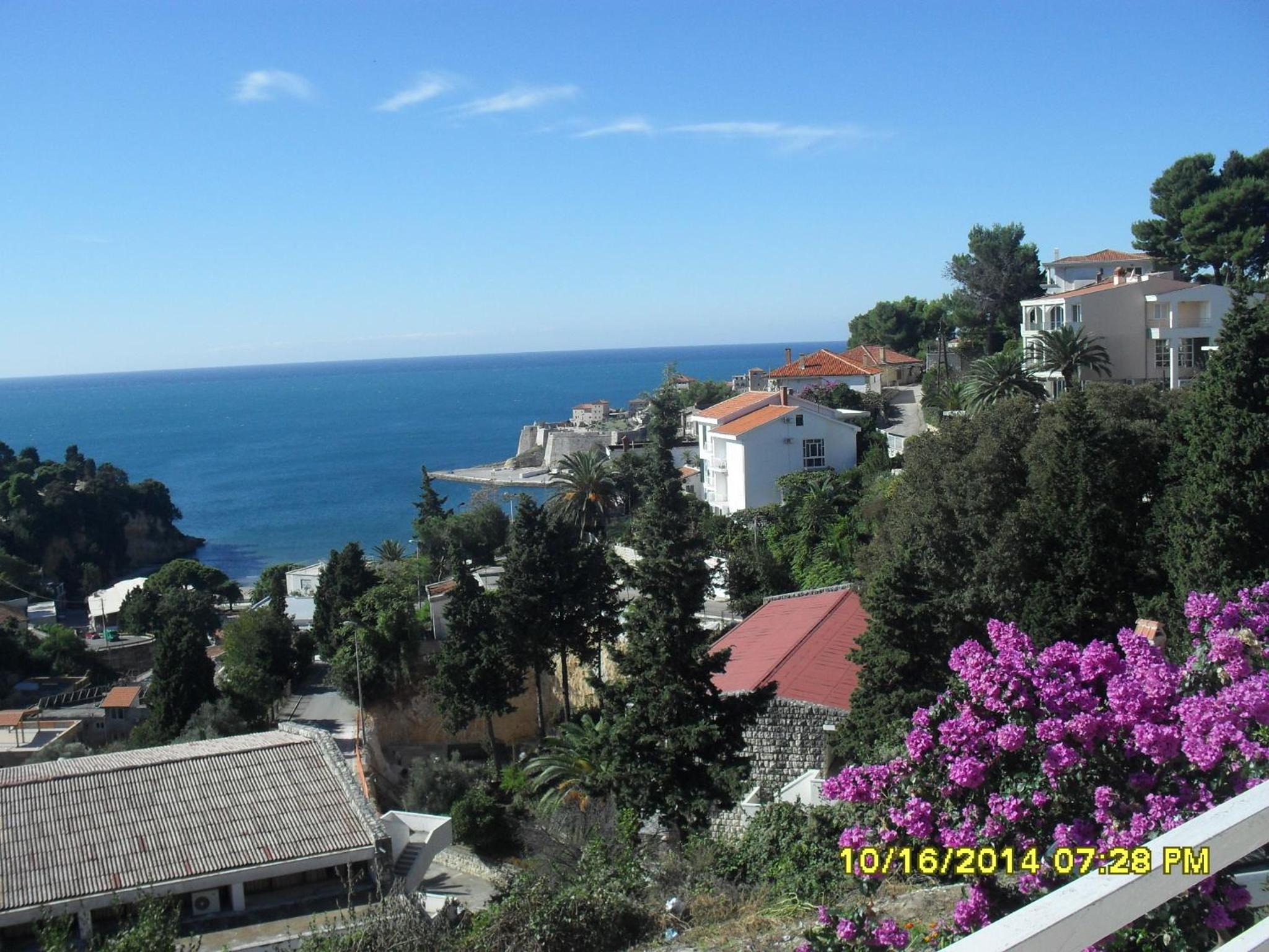 Photo 45