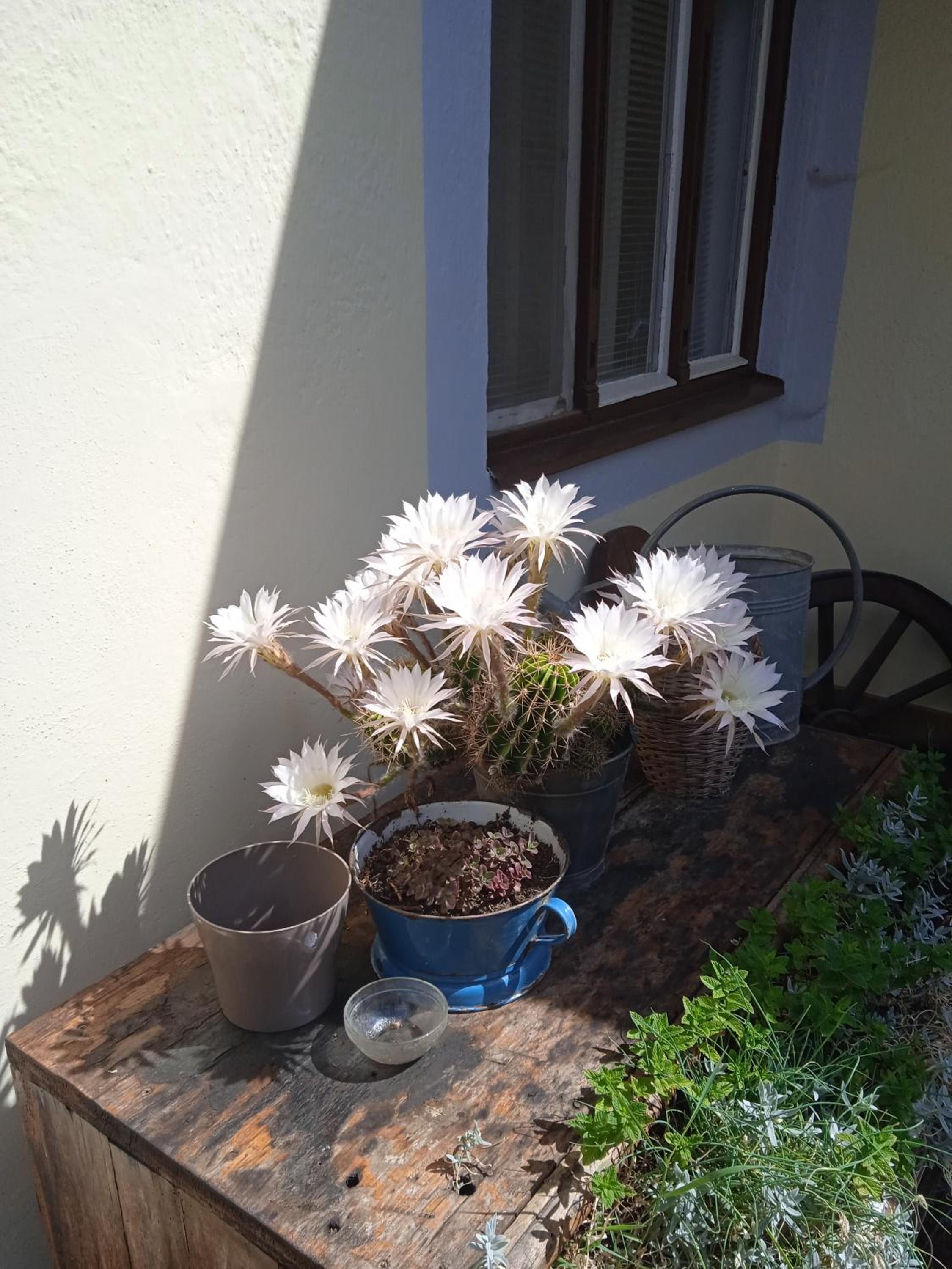 Photo 35