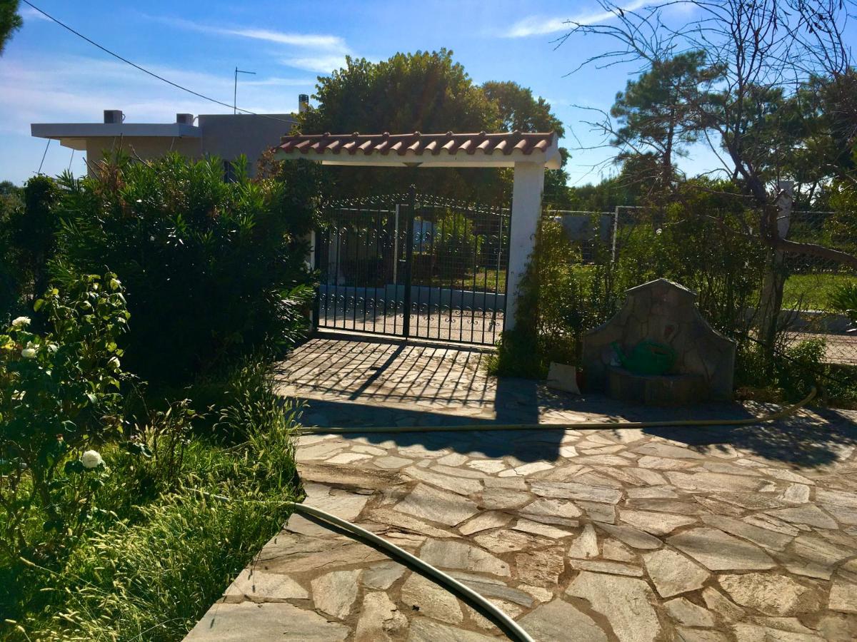 Vintage Beach House photo 3