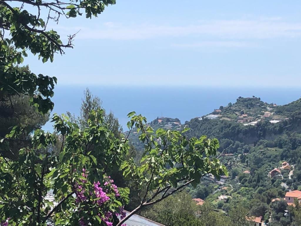 Agriturismo Soleada