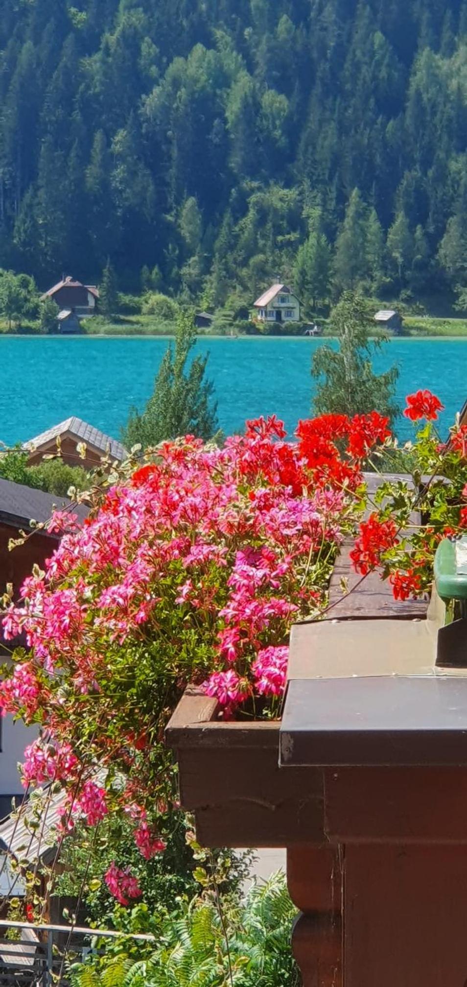 Haus Birke view 4