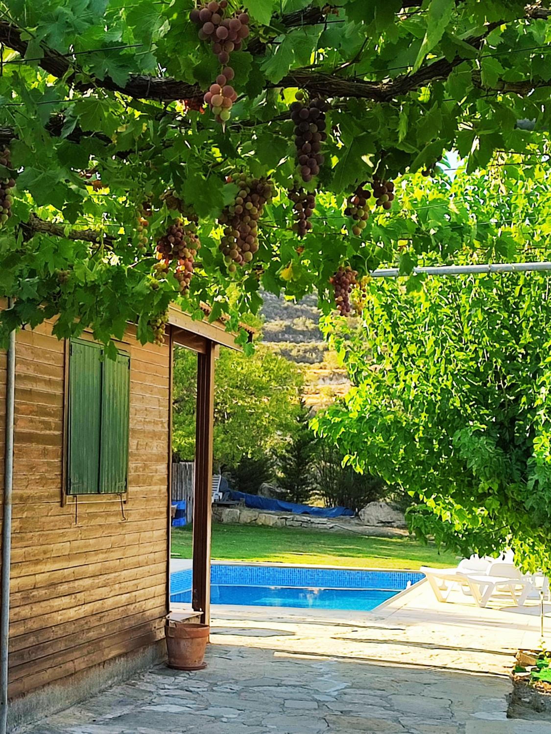 Hotel Koilani Village House - Image 1