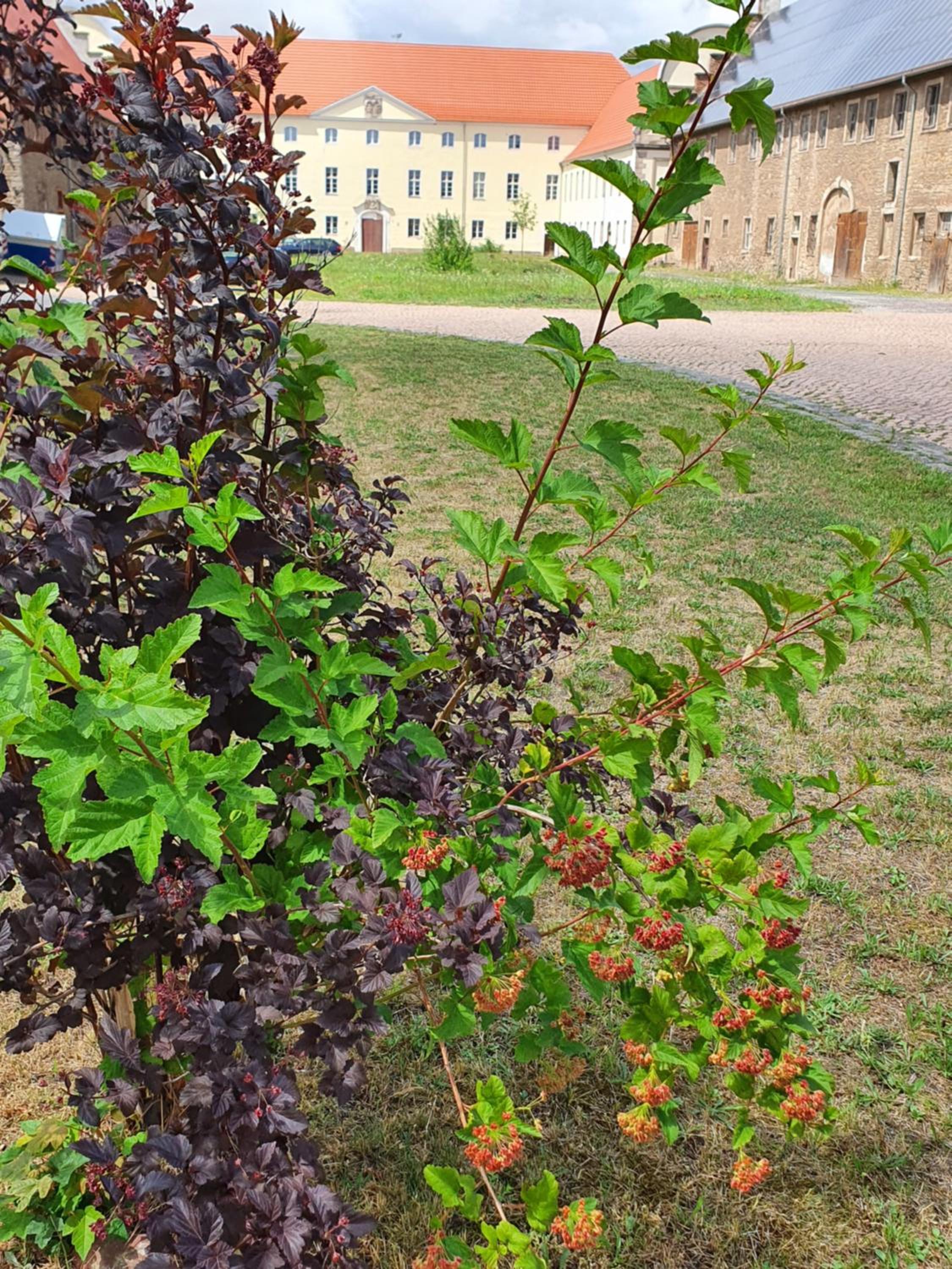 Sonnenschloss