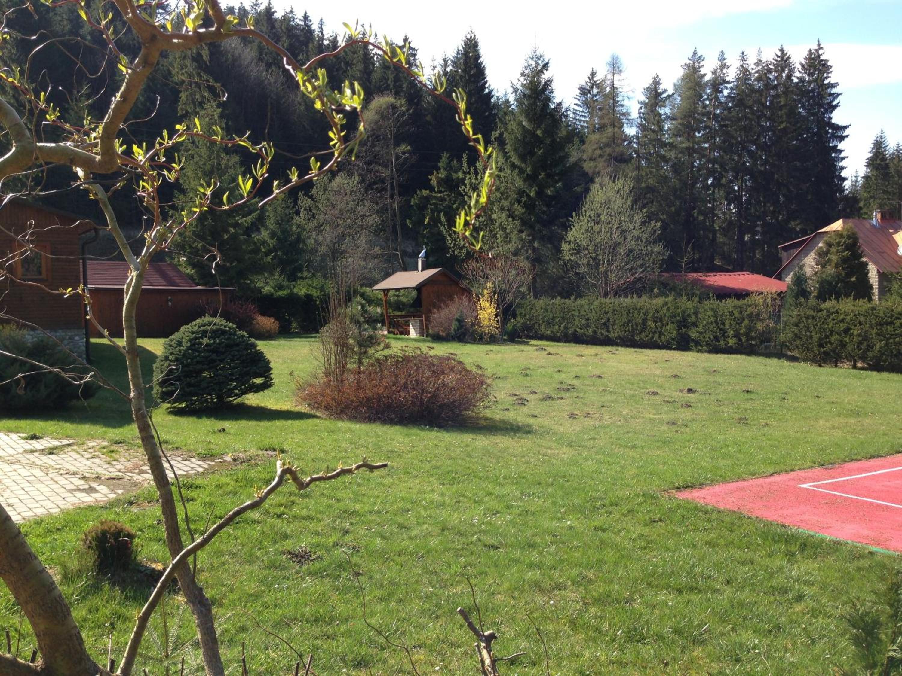 Photo 31