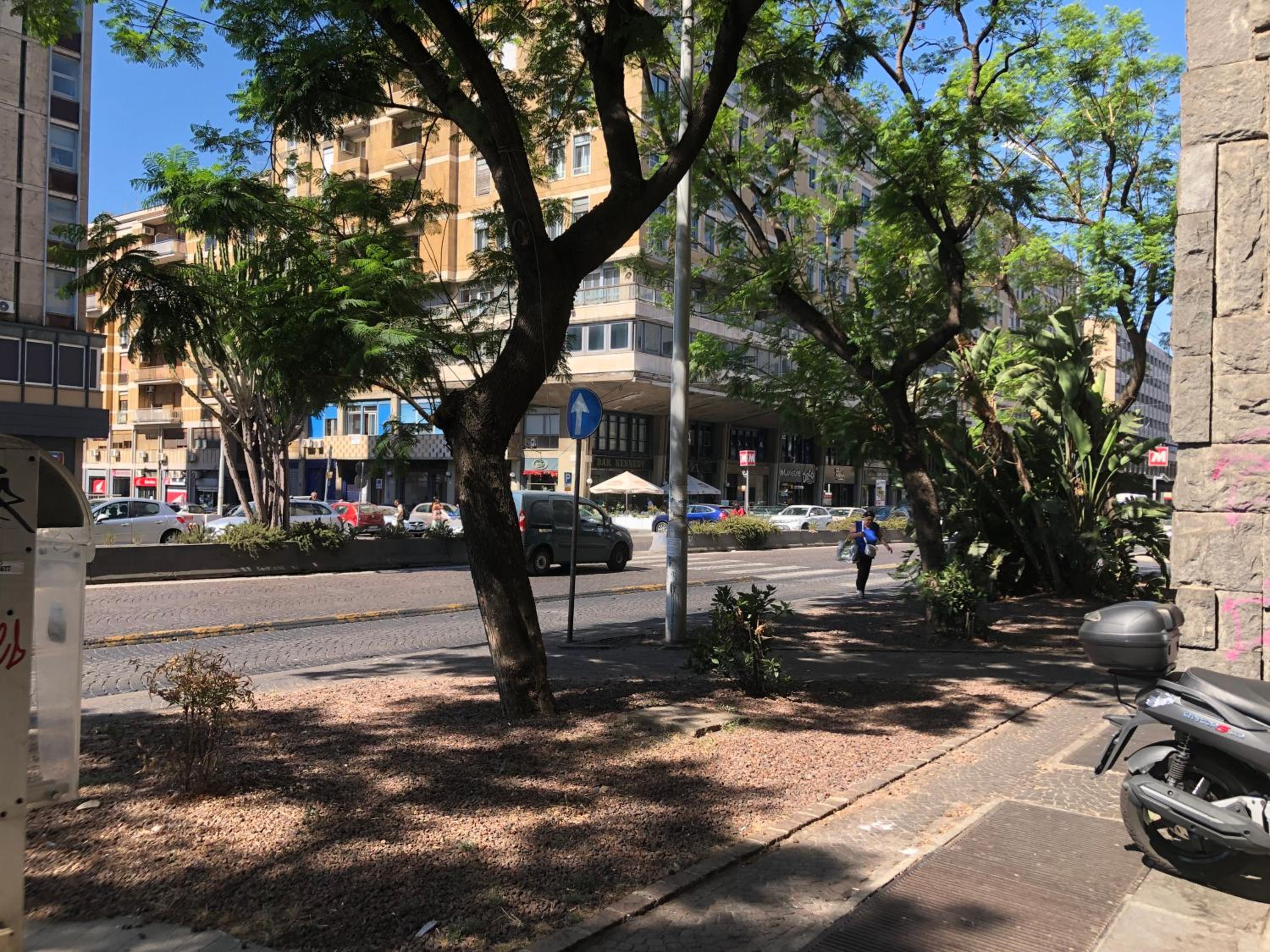 Market View,Centro view 2