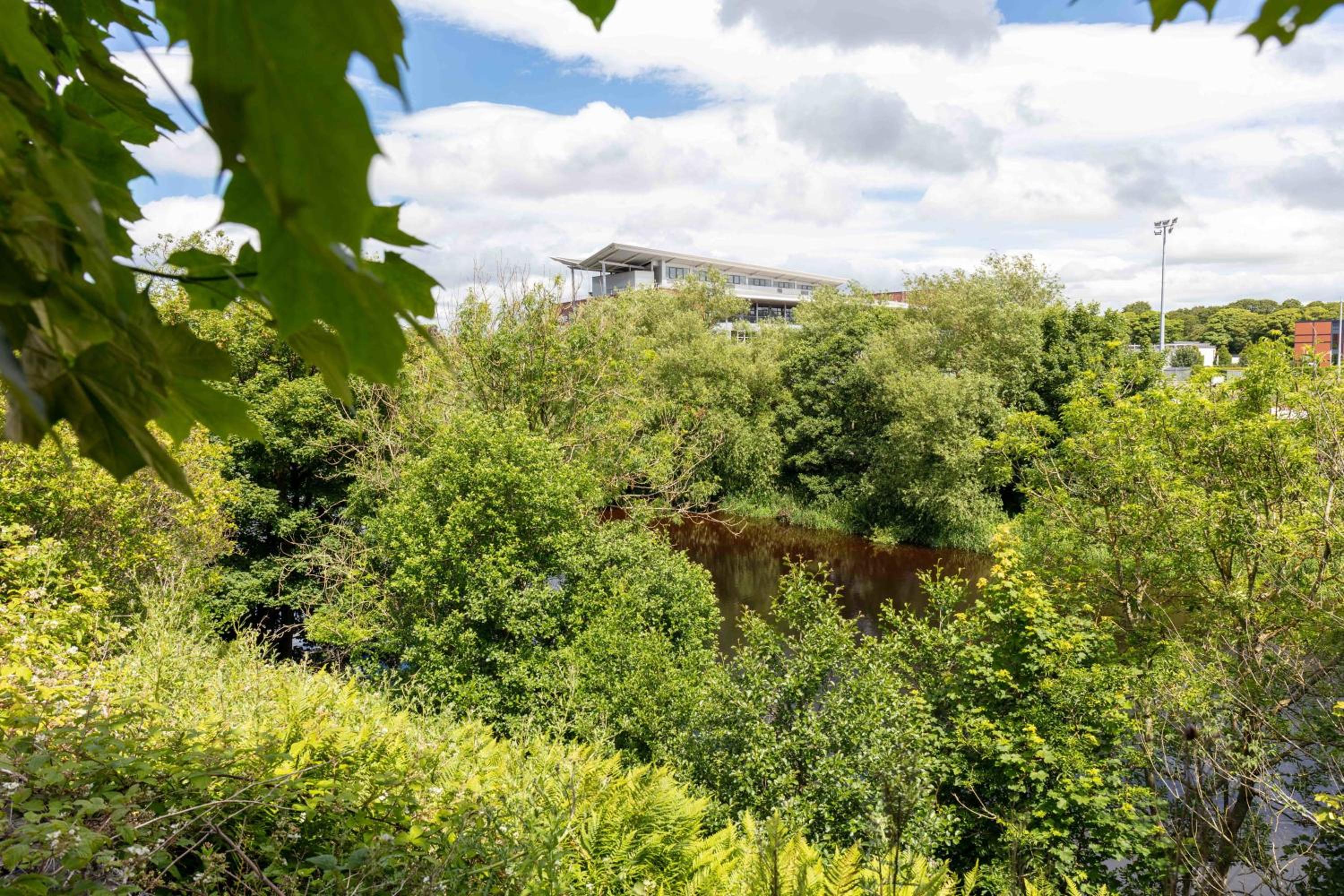 9A Millbrae - Donnini Apartments view 2