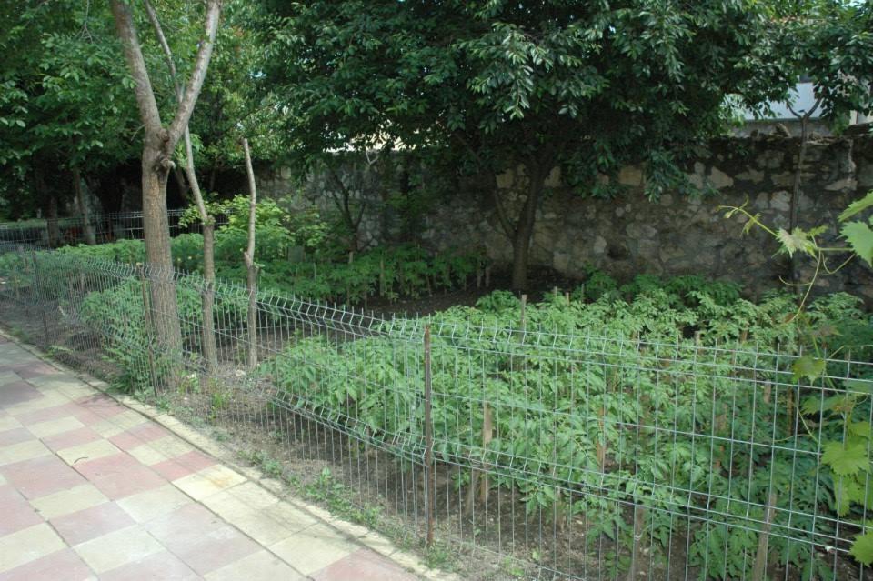 Photo 31