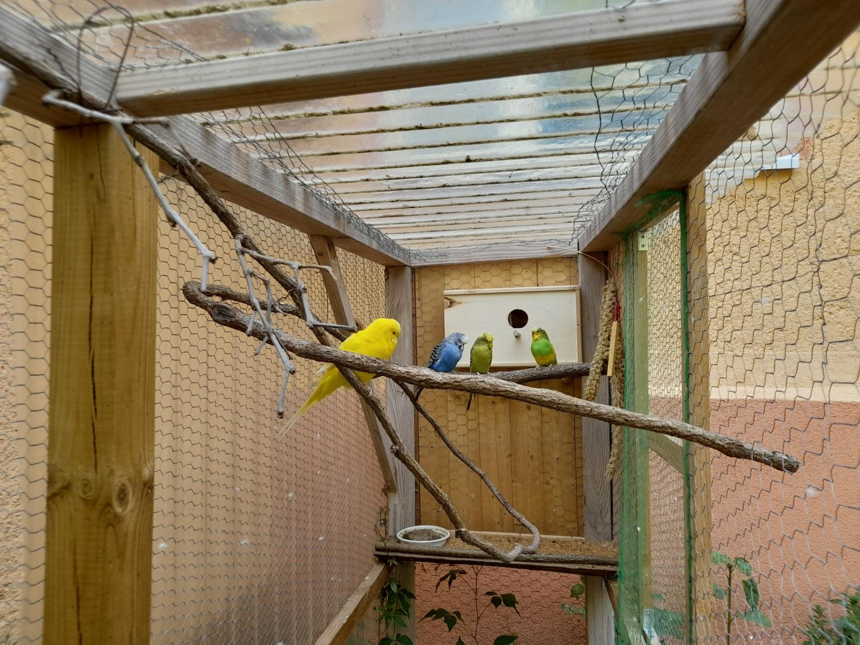 Ferienwohnung Linke "Grünblick"