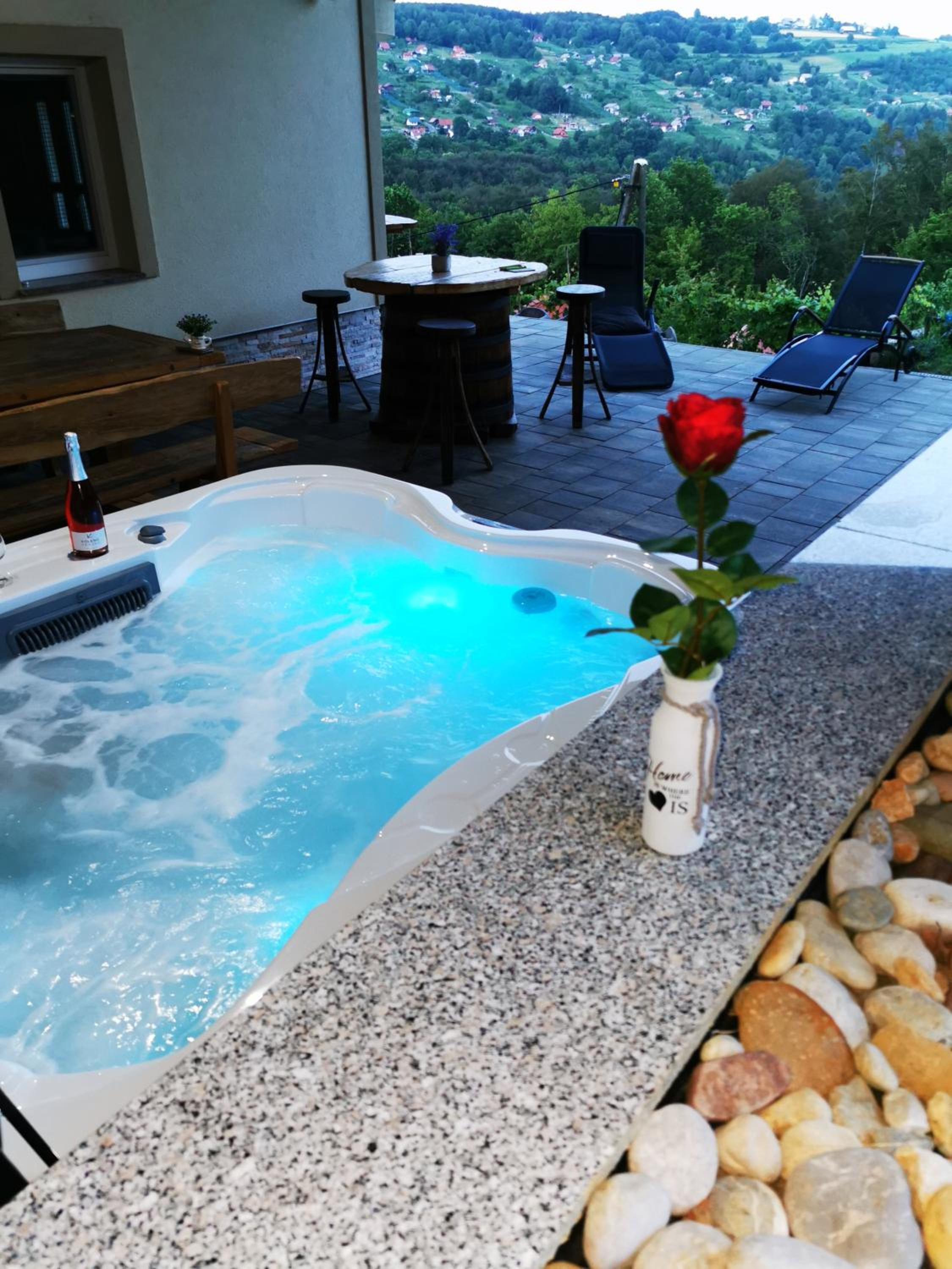 Vineyard cottage Na hribu view 3
