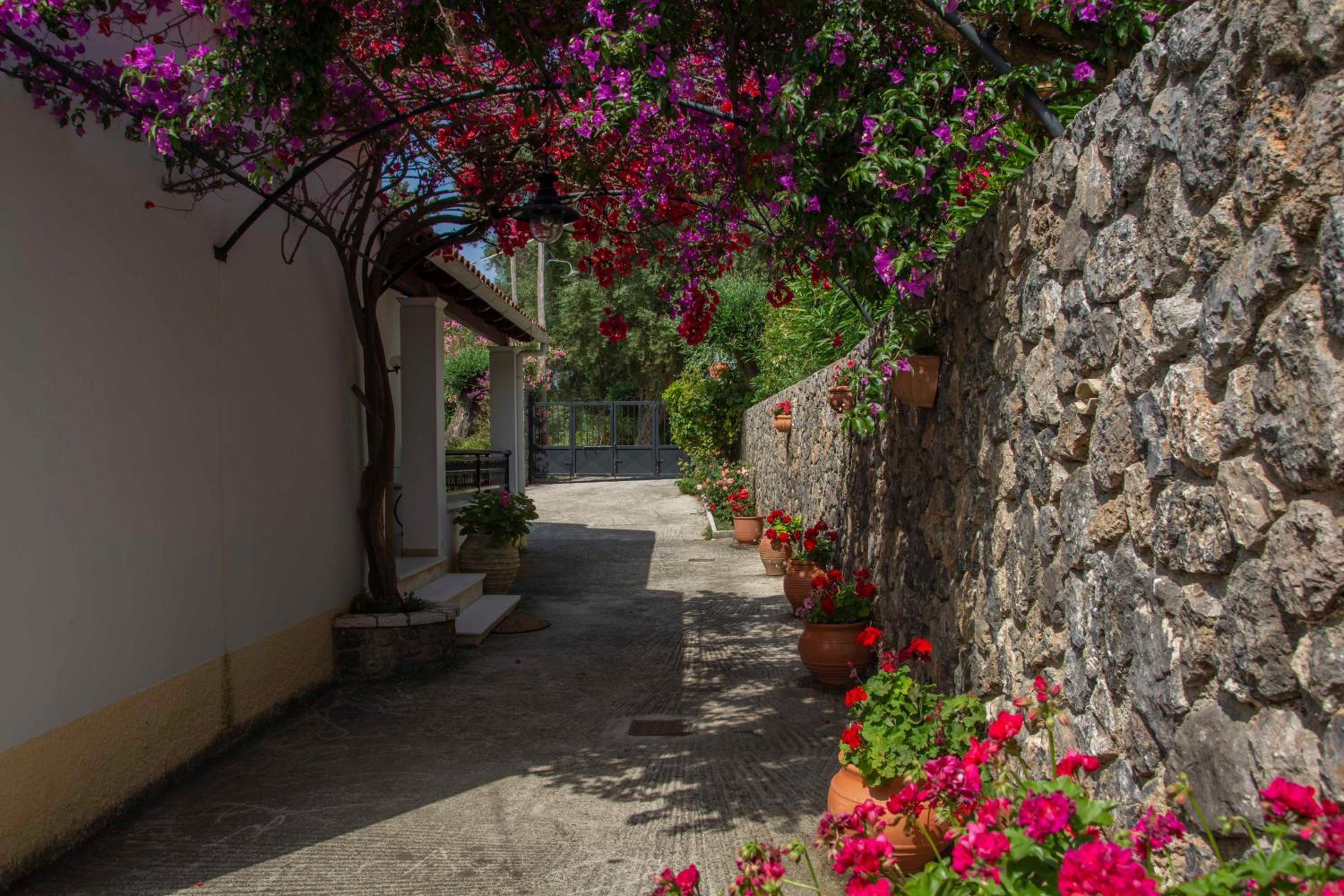 Emmy Villa Paleokastritsa photo 2