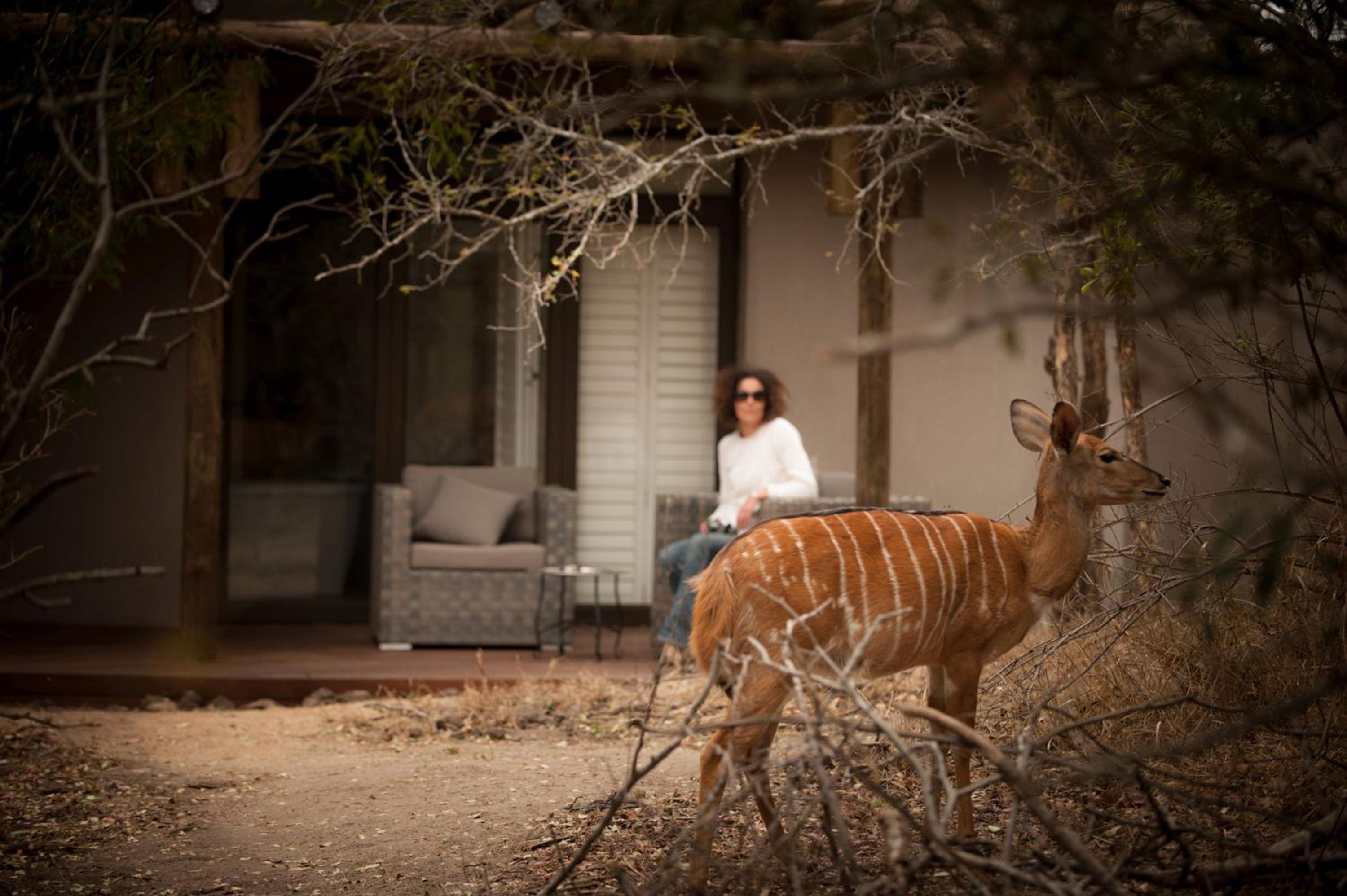 Moditlo River Lodge