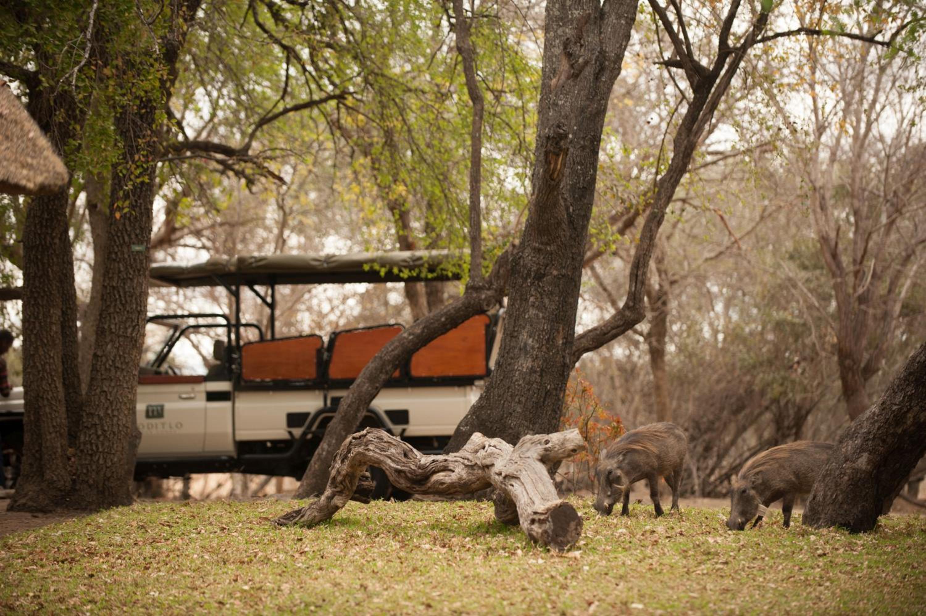 Moditlo River Lodge