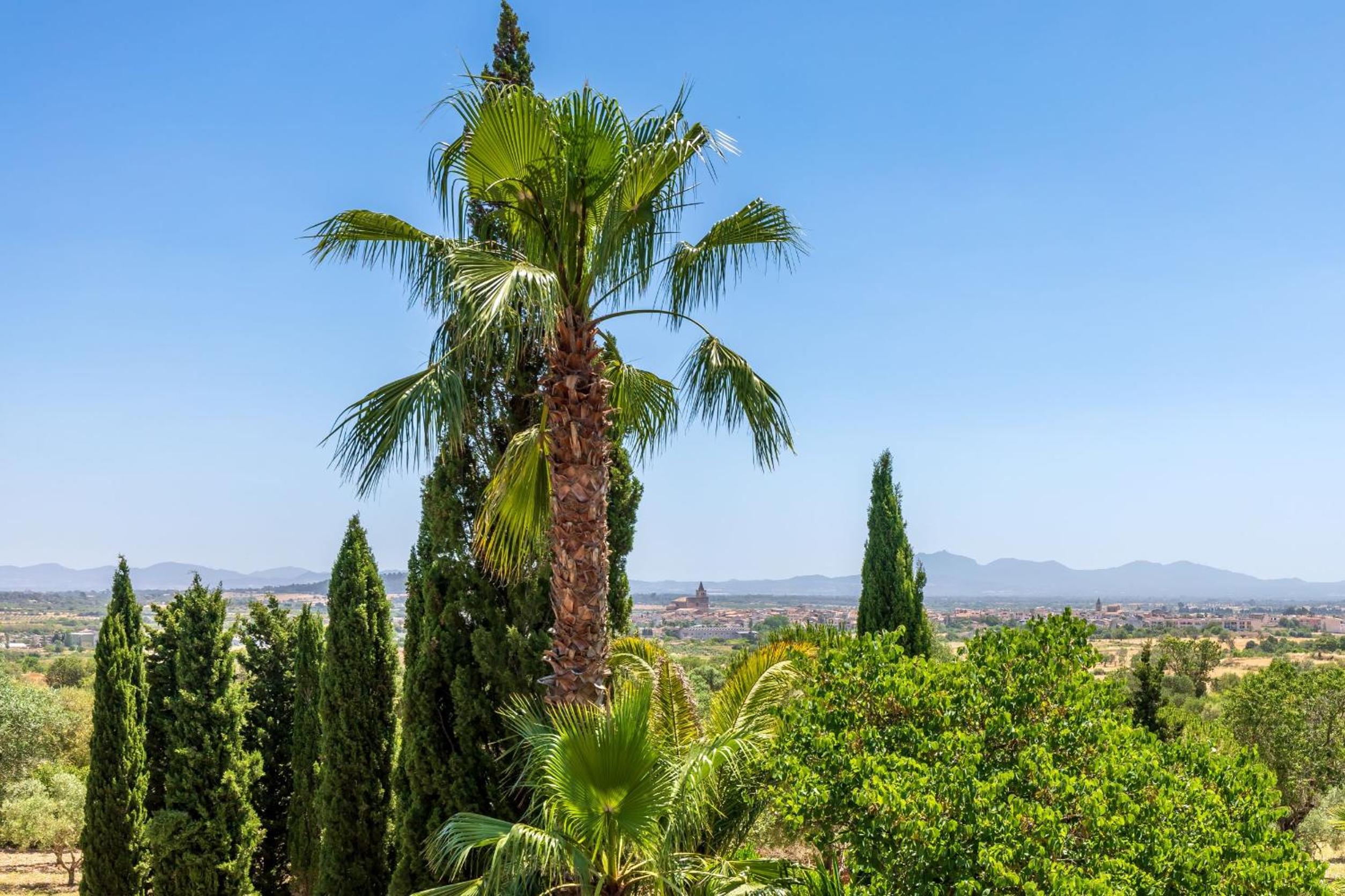 Agroturismo Finca Son Jorbo - Adults only