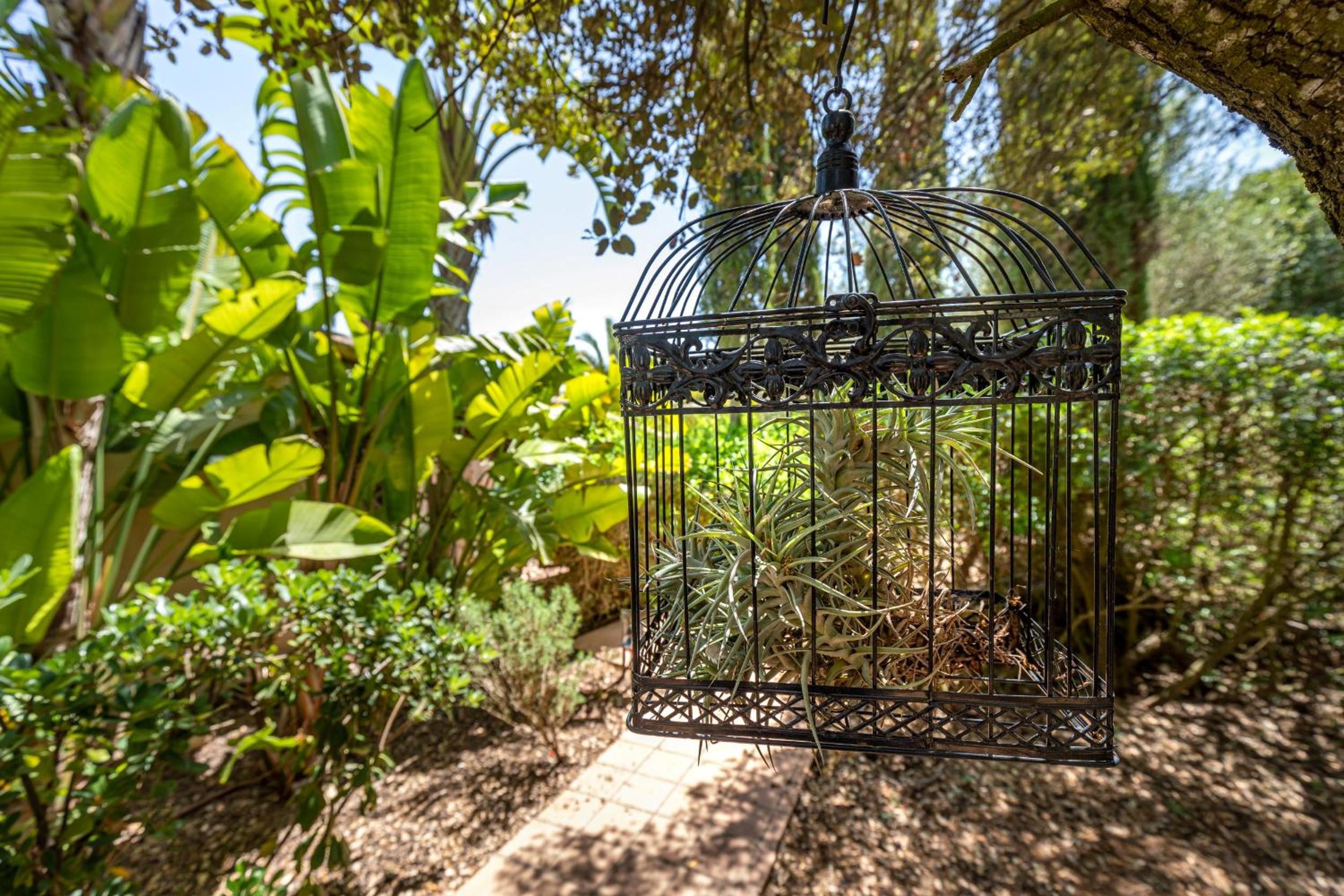 Agroturismo Finca Son Jorbo - Adults only