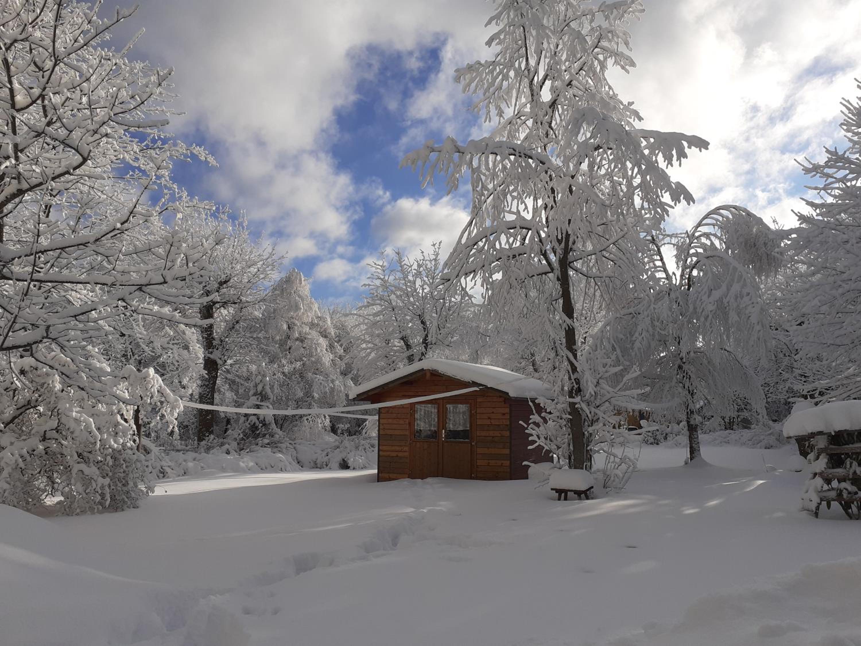 Pension Villa Immergrün